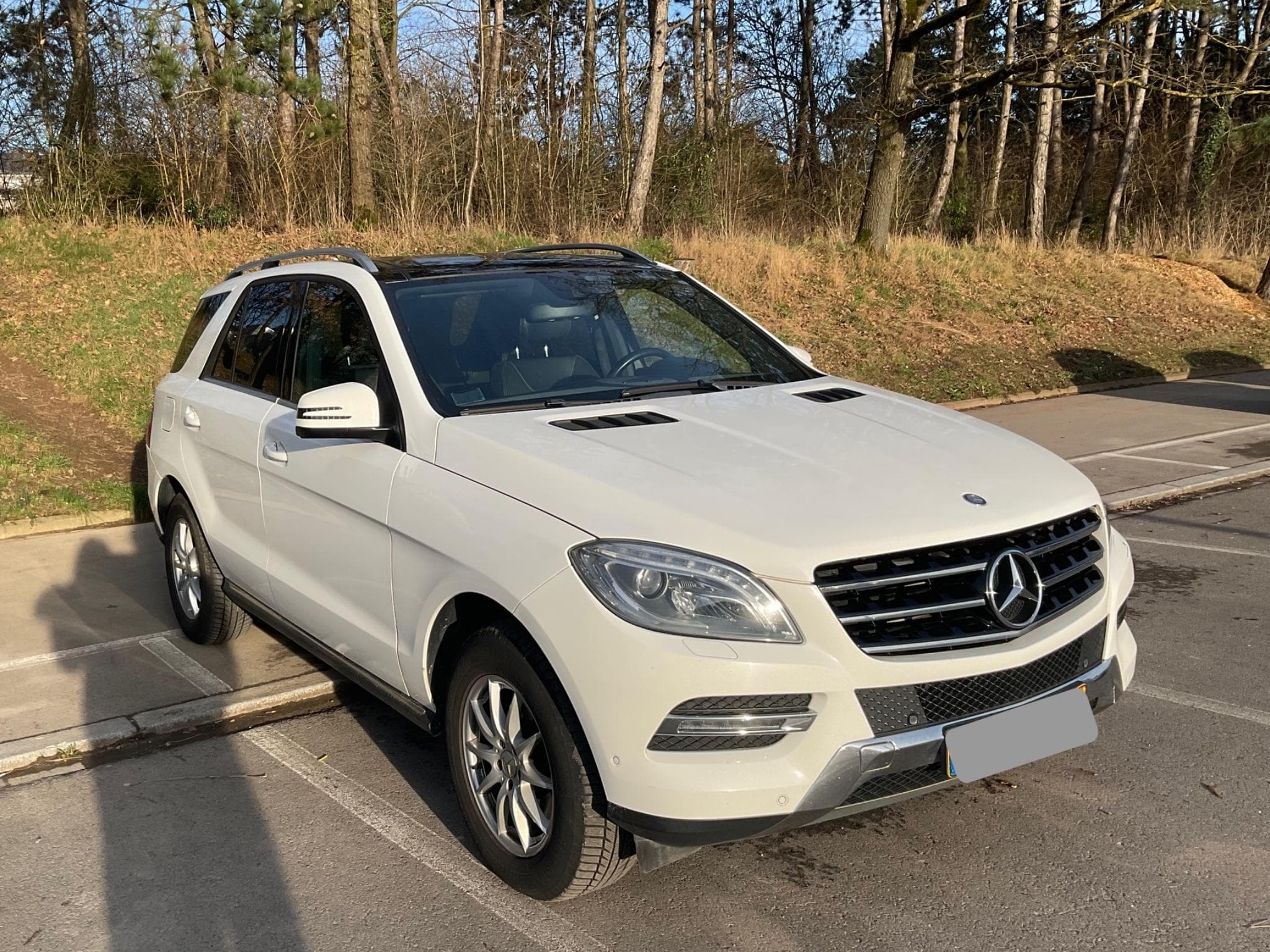 Mercedes ML 350 Diesel Blue Tec 4 MATIC (2013) - Photo 1