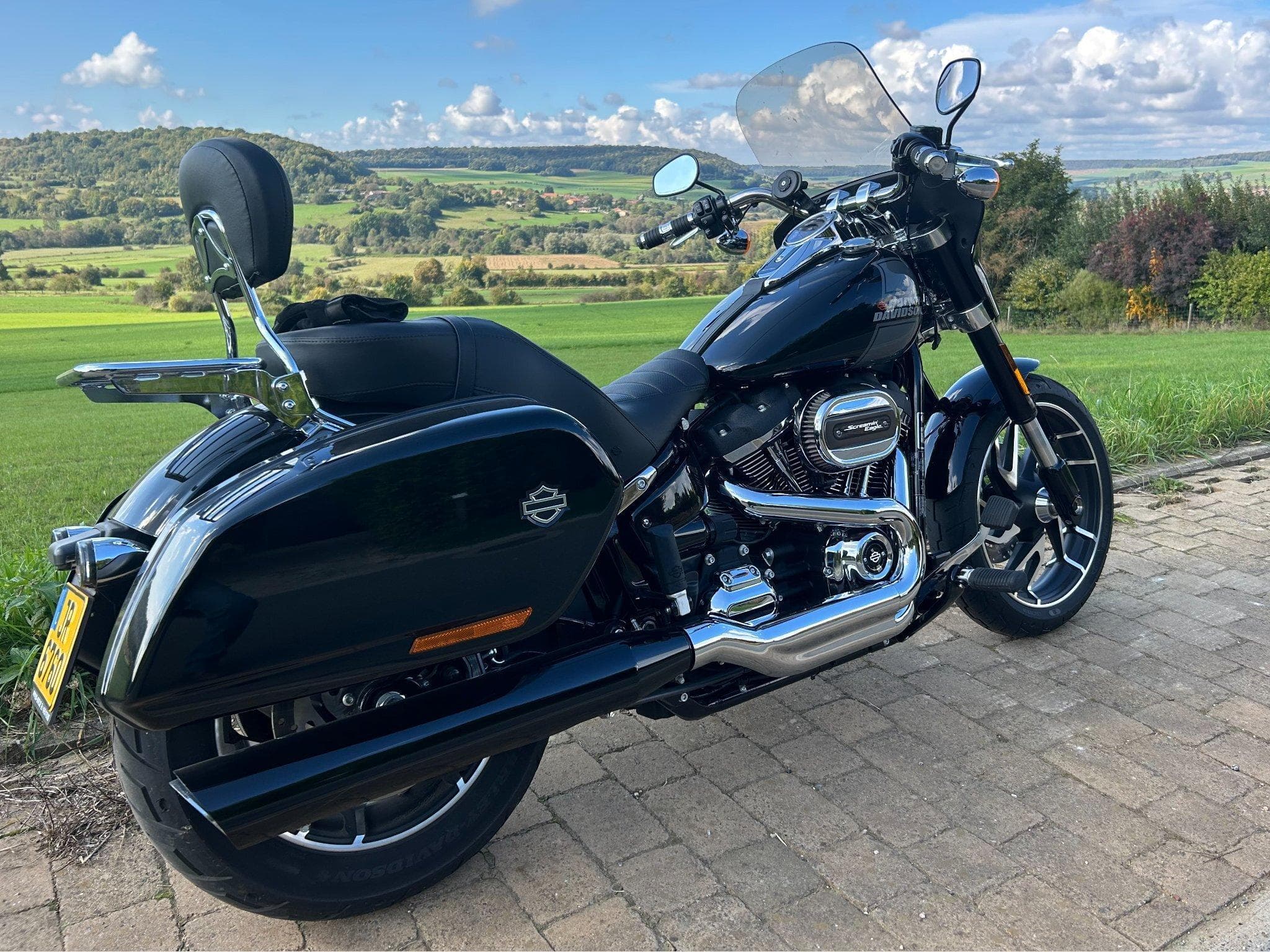 Harley-Davidson Softail Sport Glide 107 Ci M8 (2025) - Photo 2