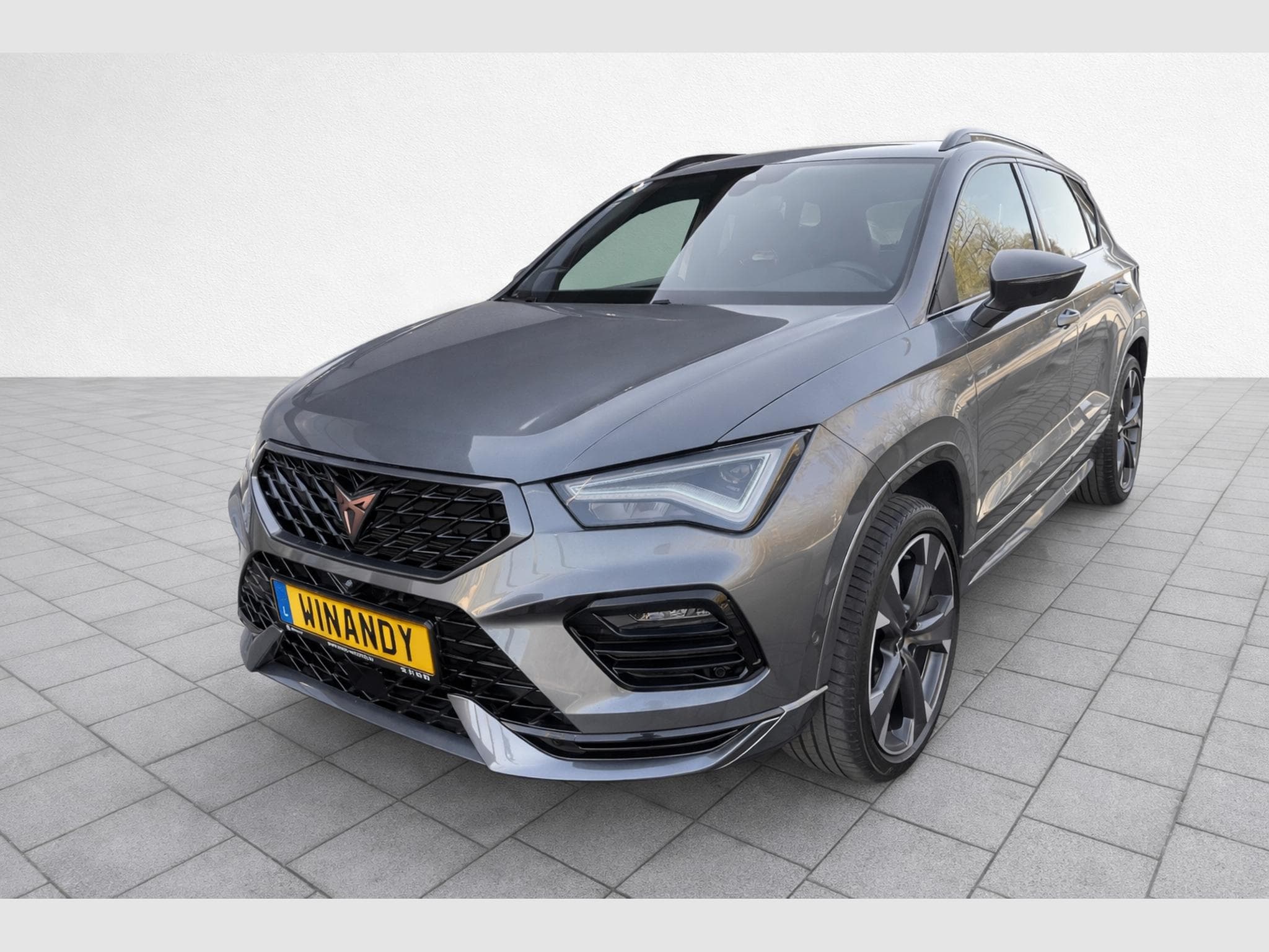 Cupra Ateca 2.0TSI 300cv DSG7 (2023) - Photo 1