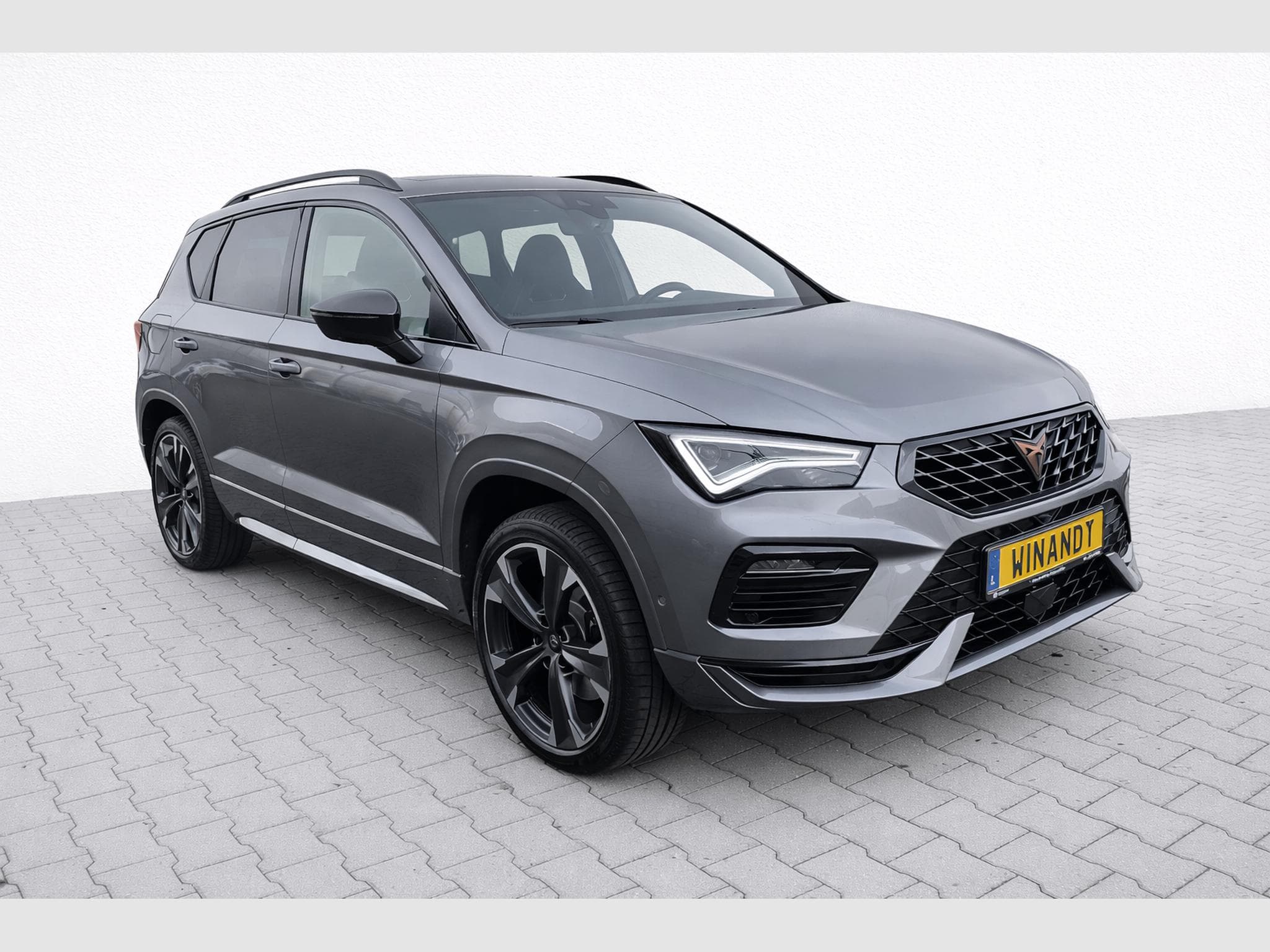 Cupra Ateca 2.0TSI 300cv DSG7 (2023) - Photo 2