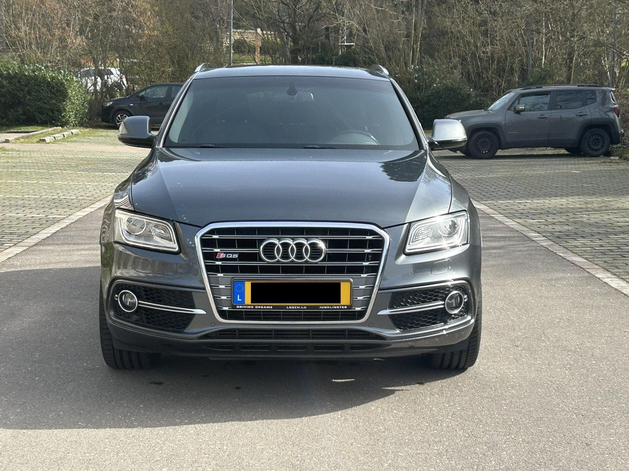 Audi SQ5 Competition 326 ch / toit panoramique (2015) - Photo 8