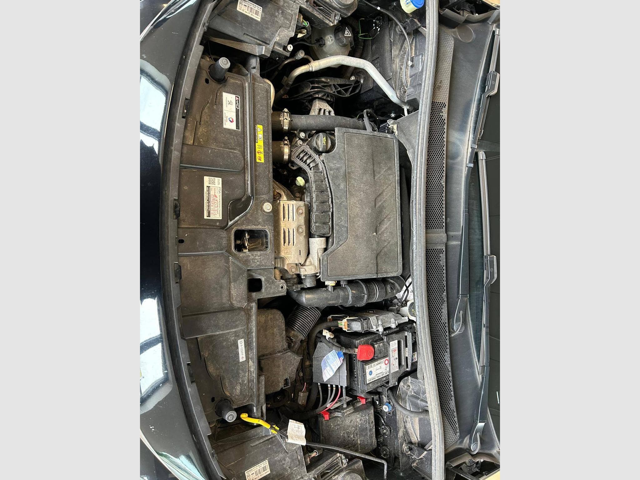 Peugeot 3008 Active (2020) - Photo 13