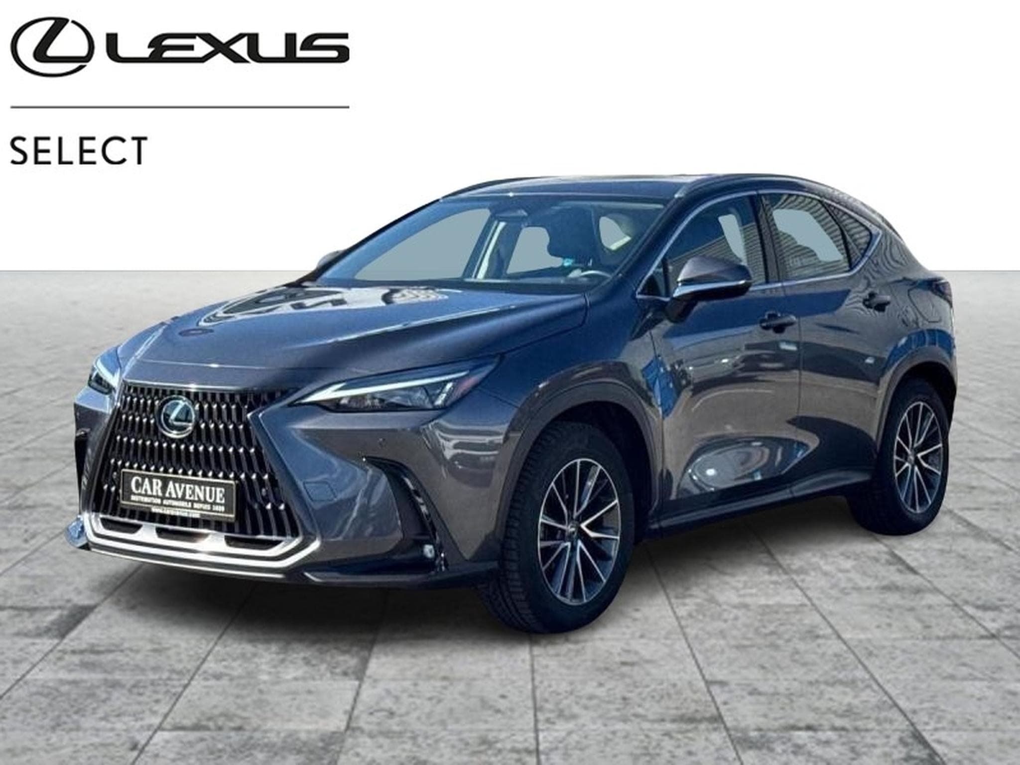 Lexus NX Business Line (2024) - Foto 1
