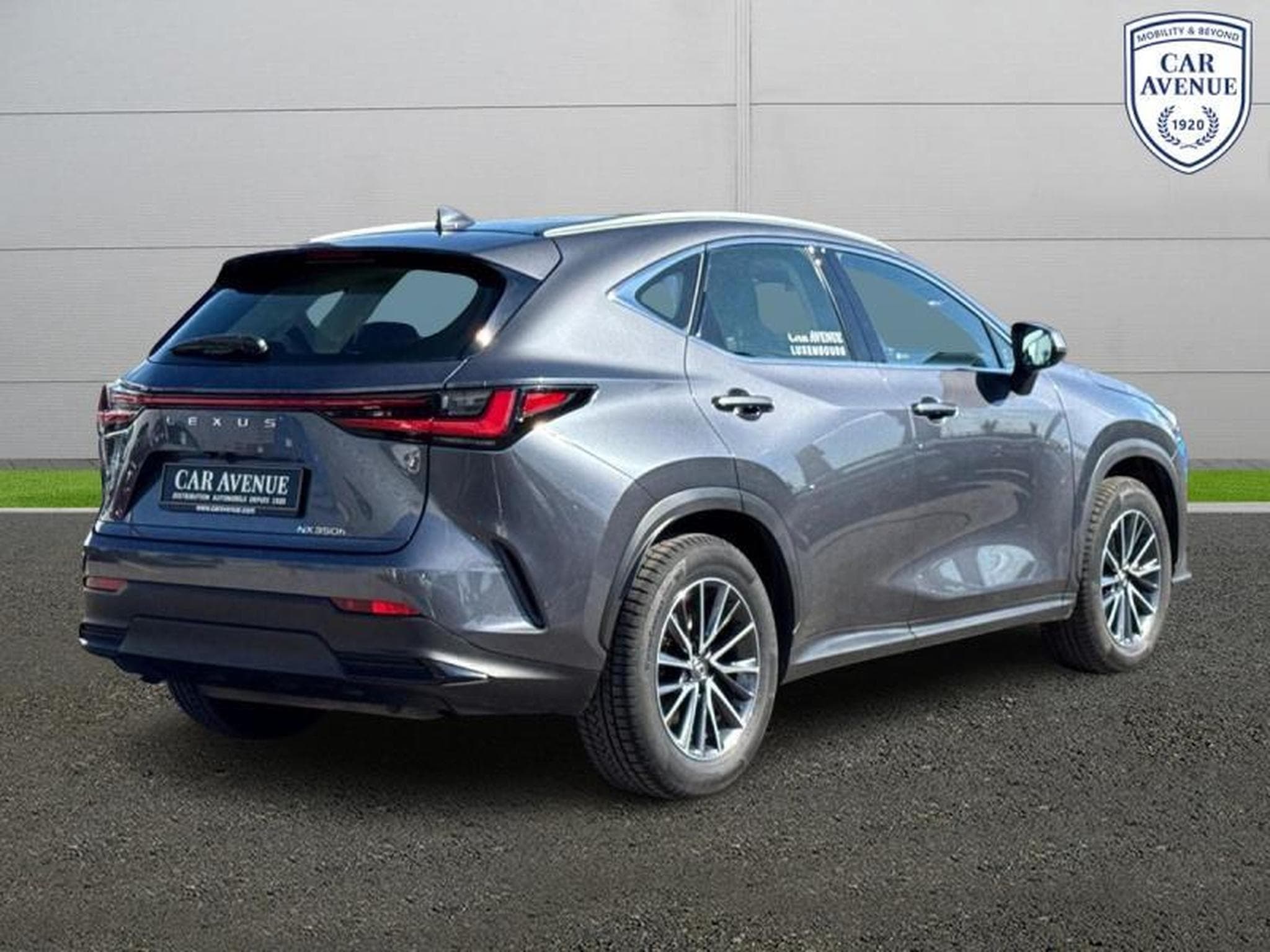 Lexus NX Business Line (2024) - Foto 2