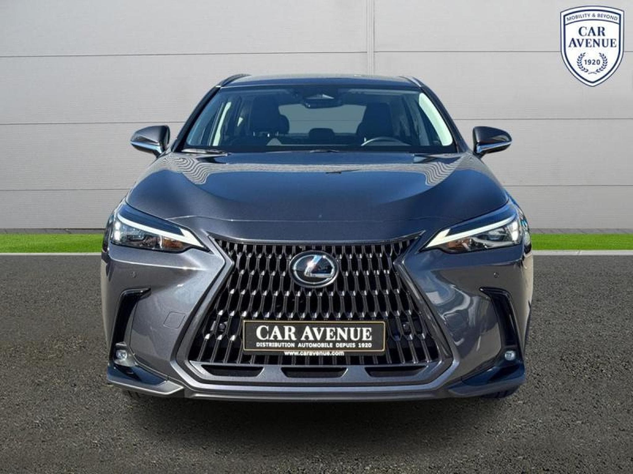 Lexus NX Business Line (2024) - Foto 3