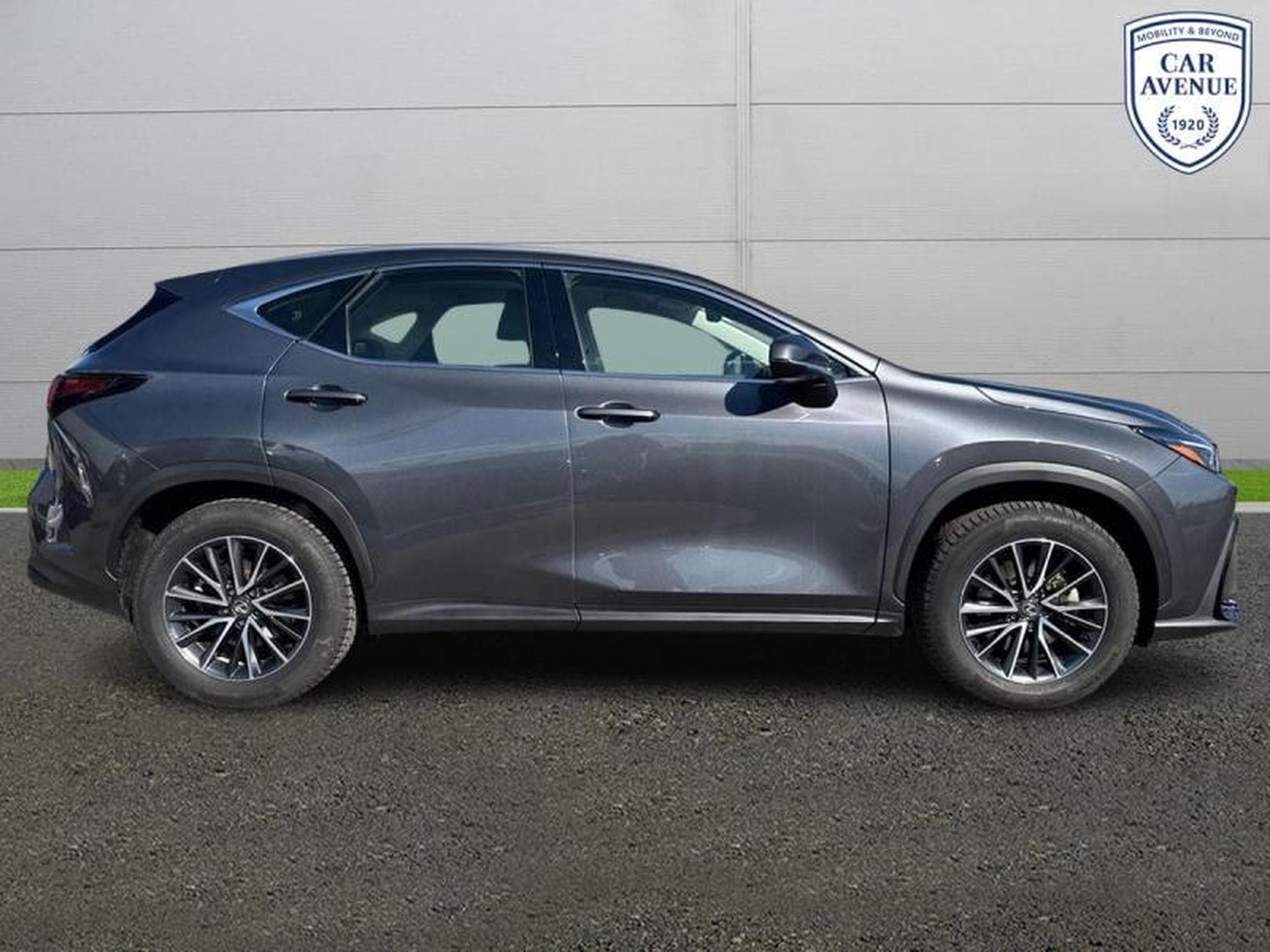 Lexus NX Business Line (2024) - Foto 5