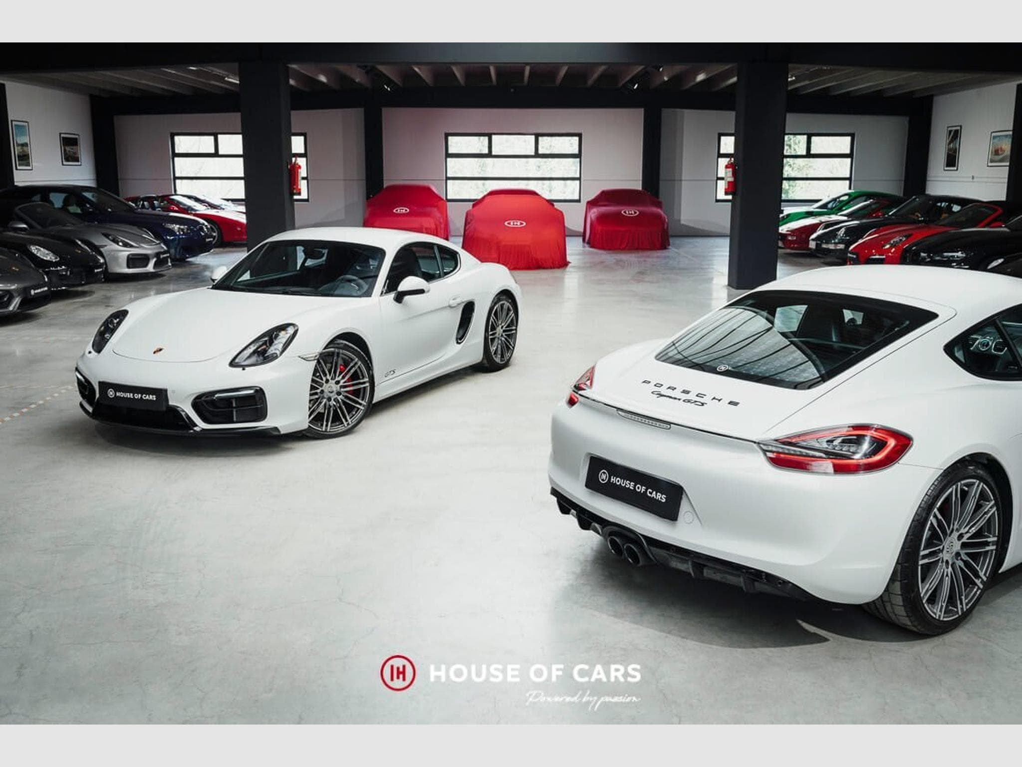 Porsche Cayman 981 Cayman GTS PDK - 1st paint - Mint ! (2015) - Photo 1