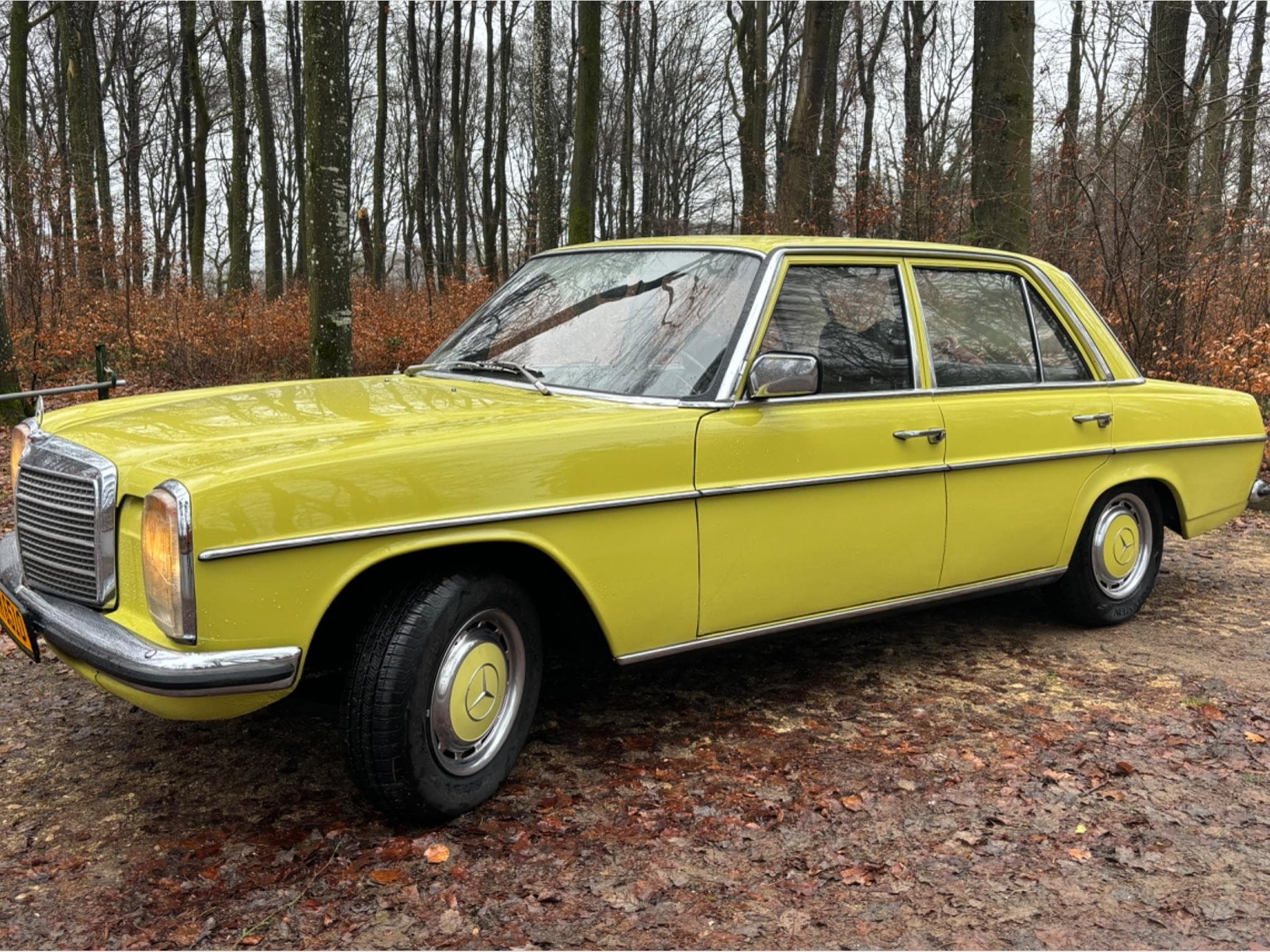 Mercedes 230 230/6 (1975) - Foto 1