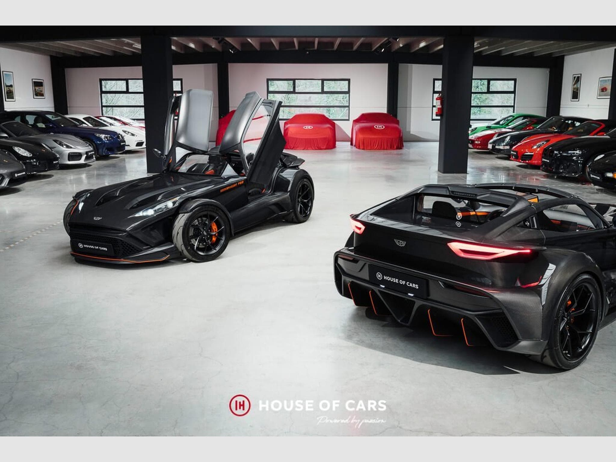 Donkervoort D8 F22 Bare Naked 2024 – 1 of 25ex – PPF – VAT 21% (2024) - Foto 1