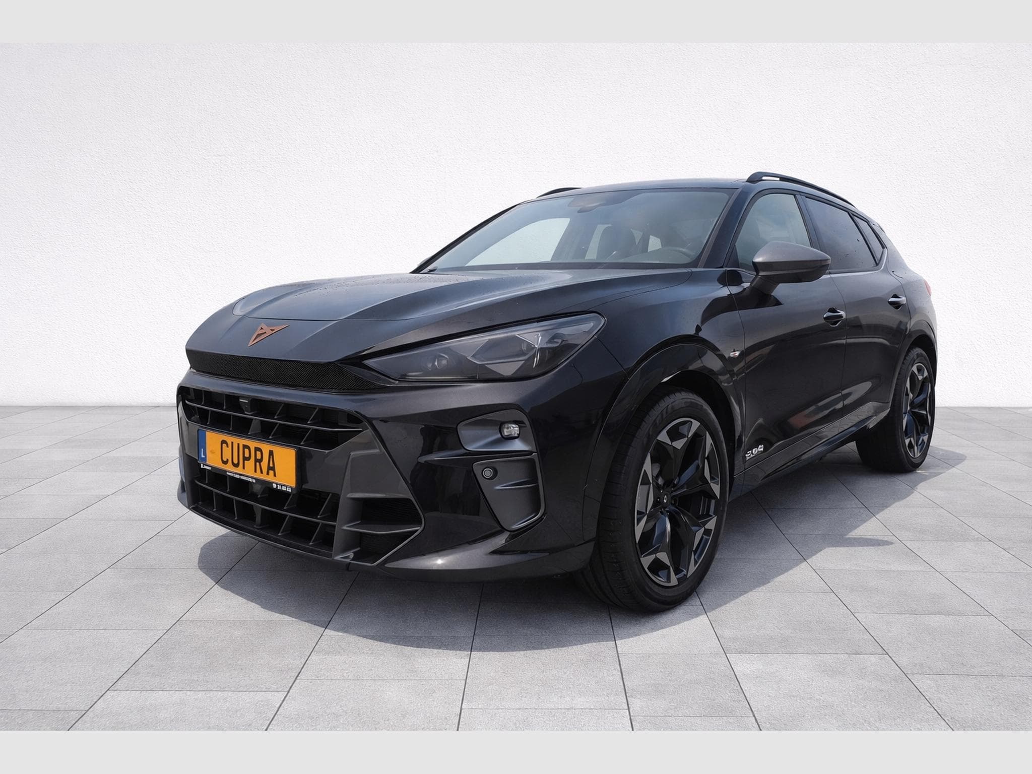 Cupra Terramar VZ 2.0 TSI 265cv  DSG7 (2025) - Photo 1