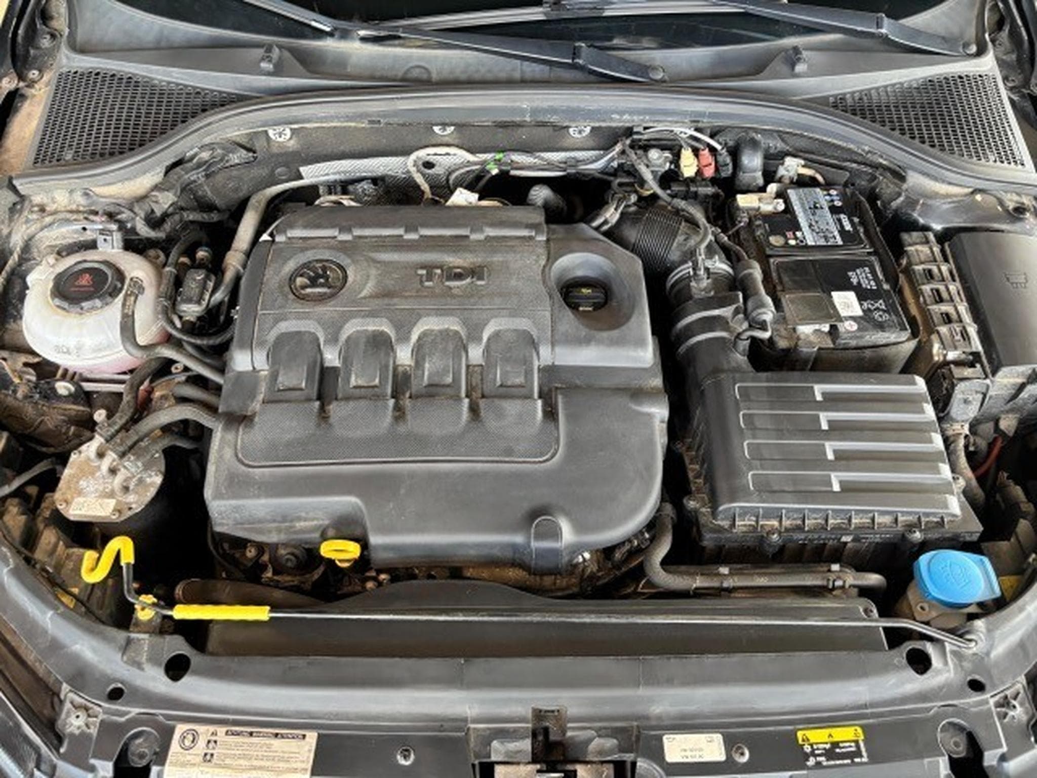 Skoda Octavia Scout 4x4 (2019) - Photo 14