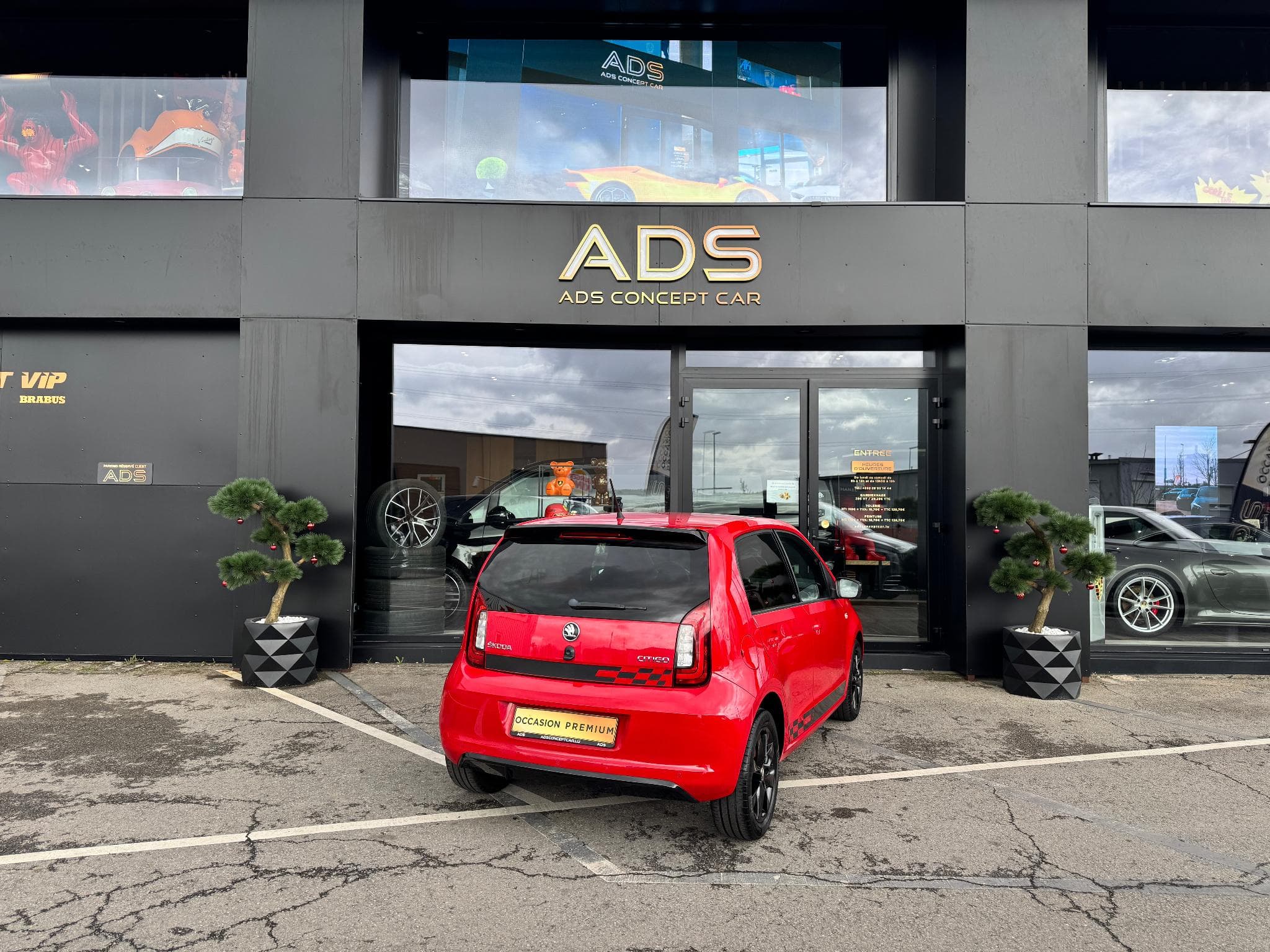 Skoda Citigo Monte Carlo 2019 (2019) - Foto 14