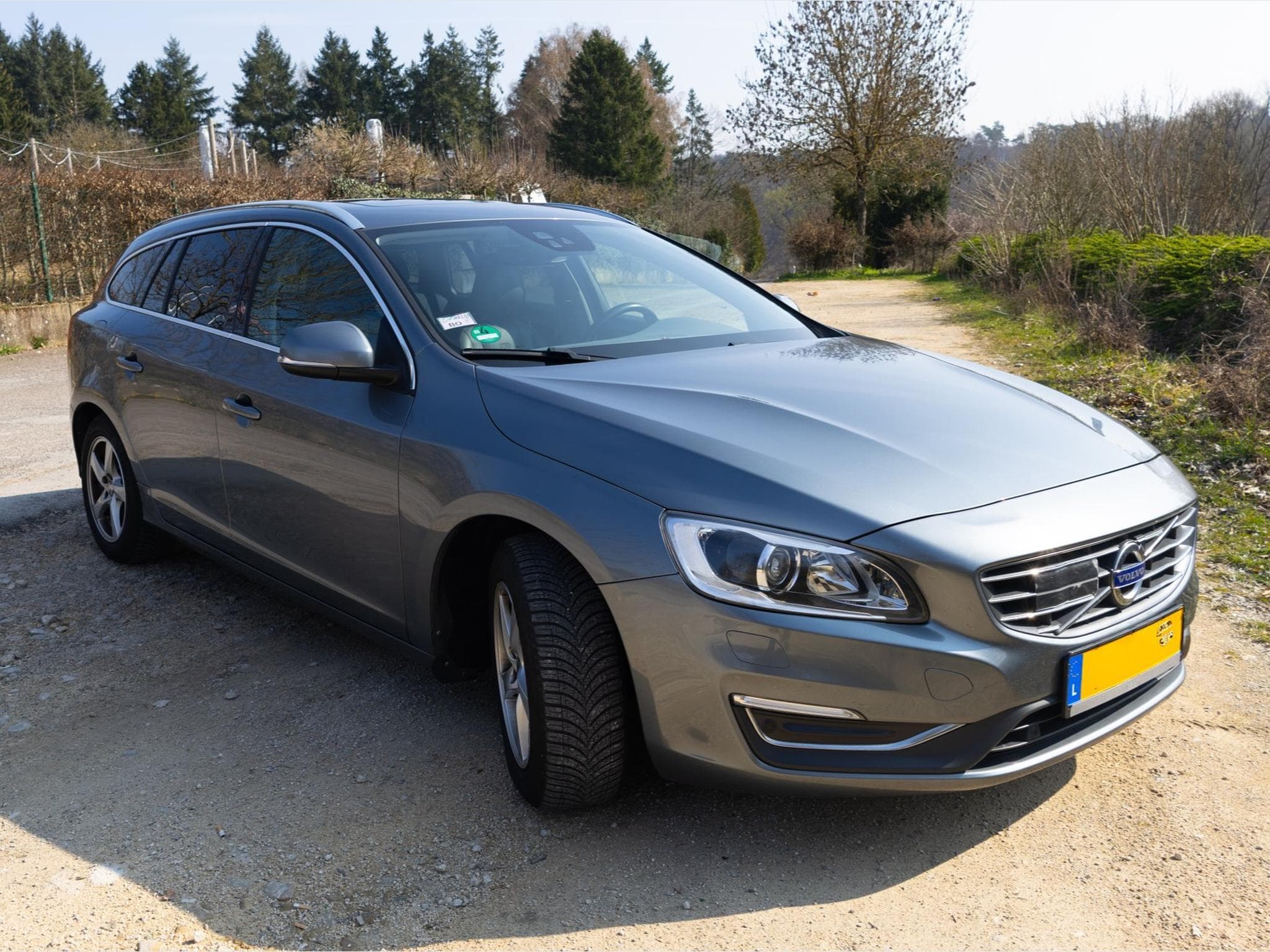 Volvo V60 2.0 D4 Summum Aut. ACC BLIS Camera (2017) - Foto 2