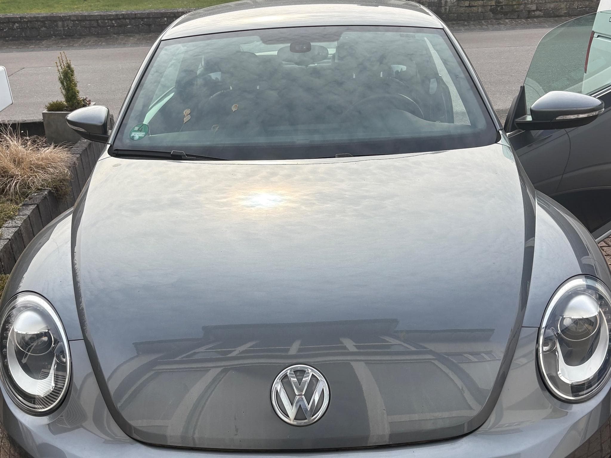 VW Beetle (2013) - Photo 3