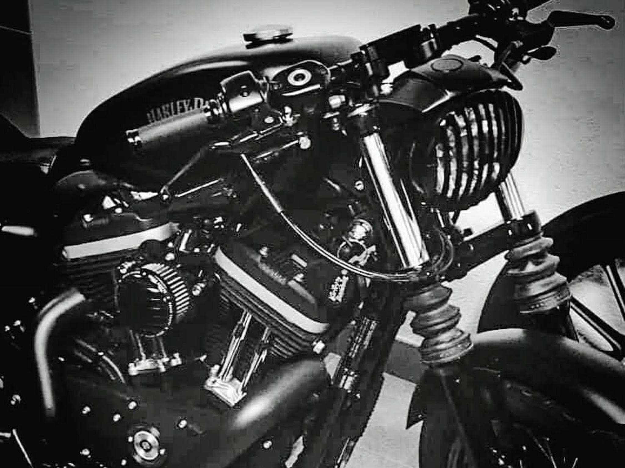 Harley-Davidson Sportster Iron 883 (2011) - Photo 1