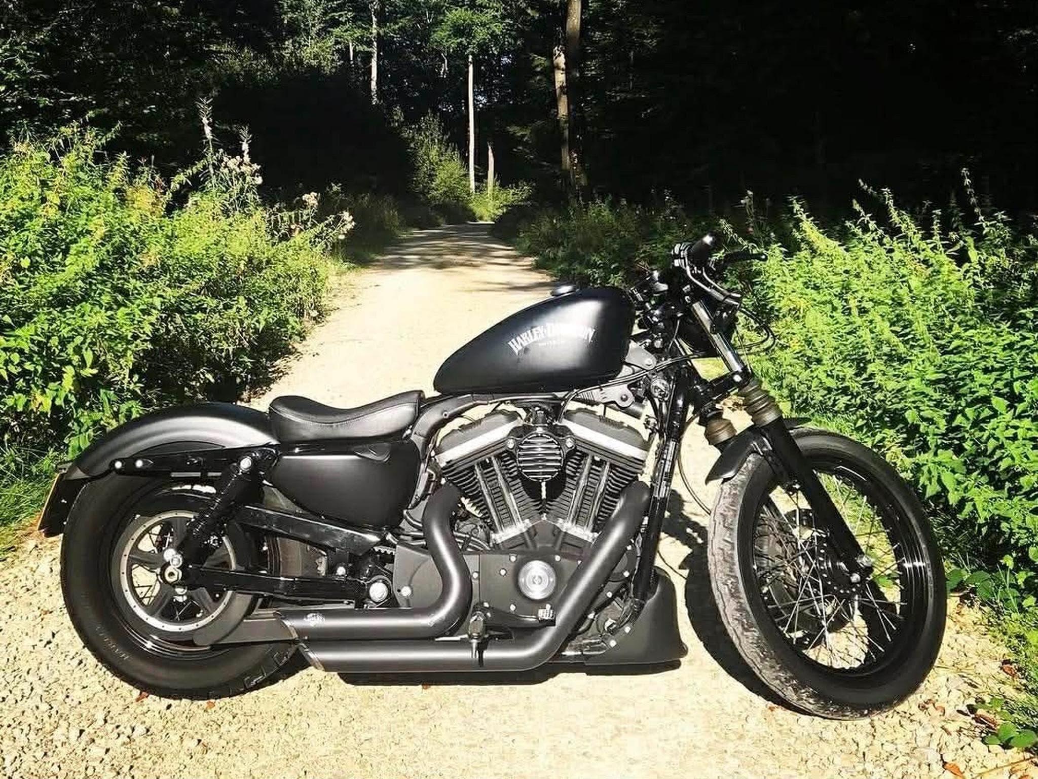 Harley-Davidson Sportster Iron 883 (2011) - Photo 2