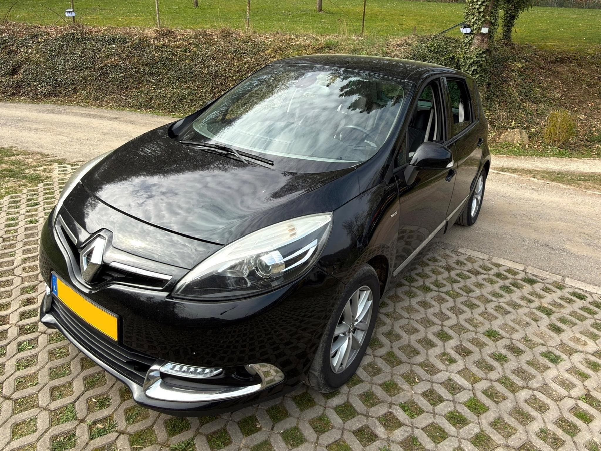 Renault Scenic Megane Scenic (2014) - Photo 1