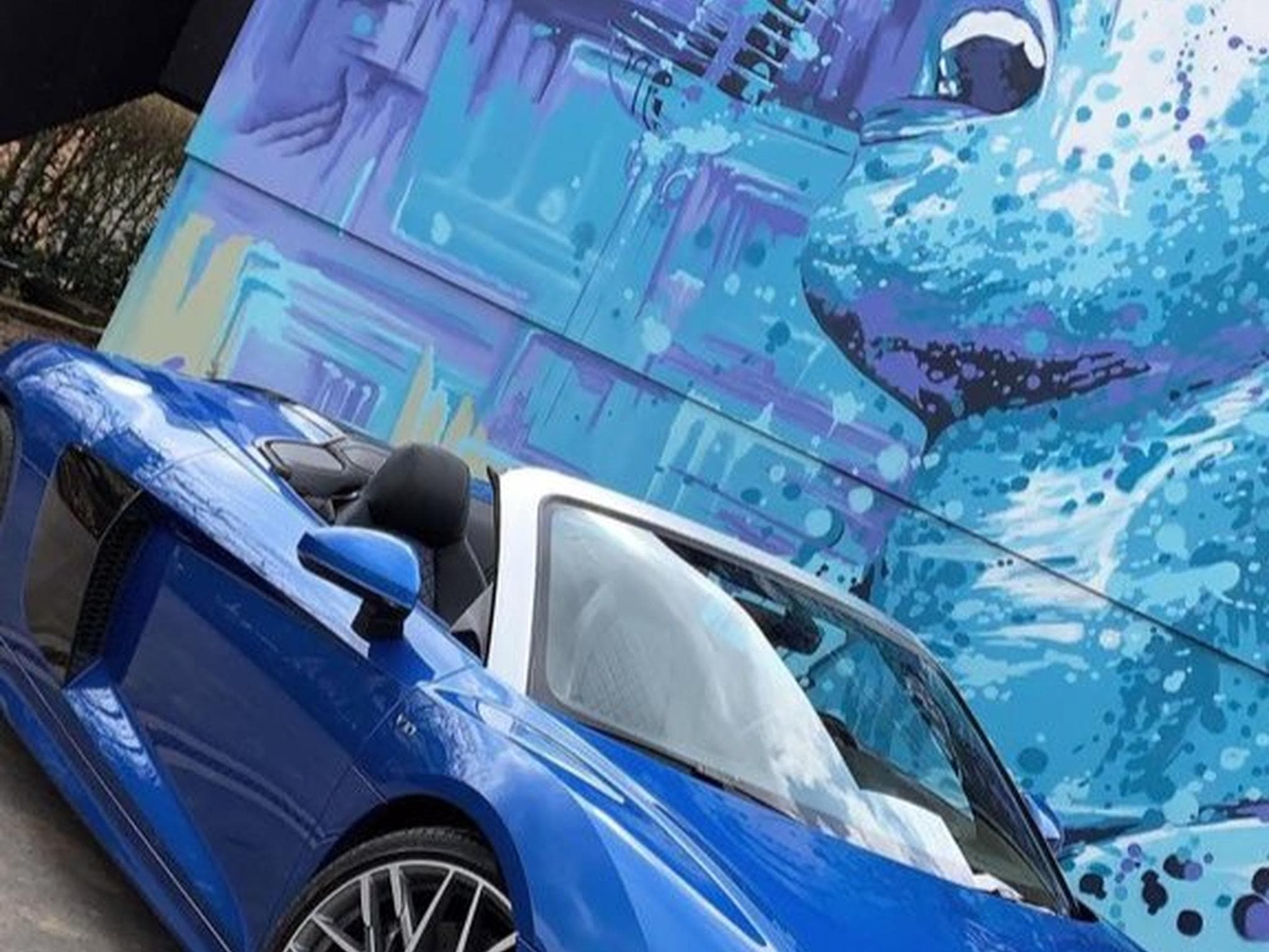 Audi R8 Performence (2017) - Photo 1