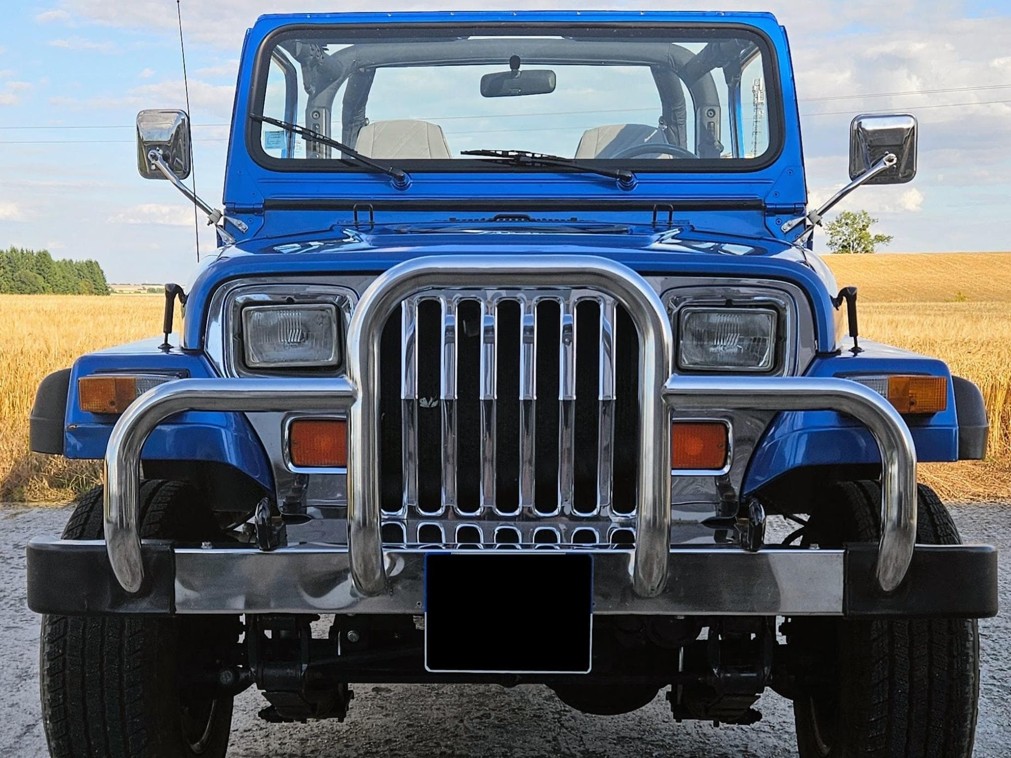 Jeep Wrangler YJ (1993) - Photo 3