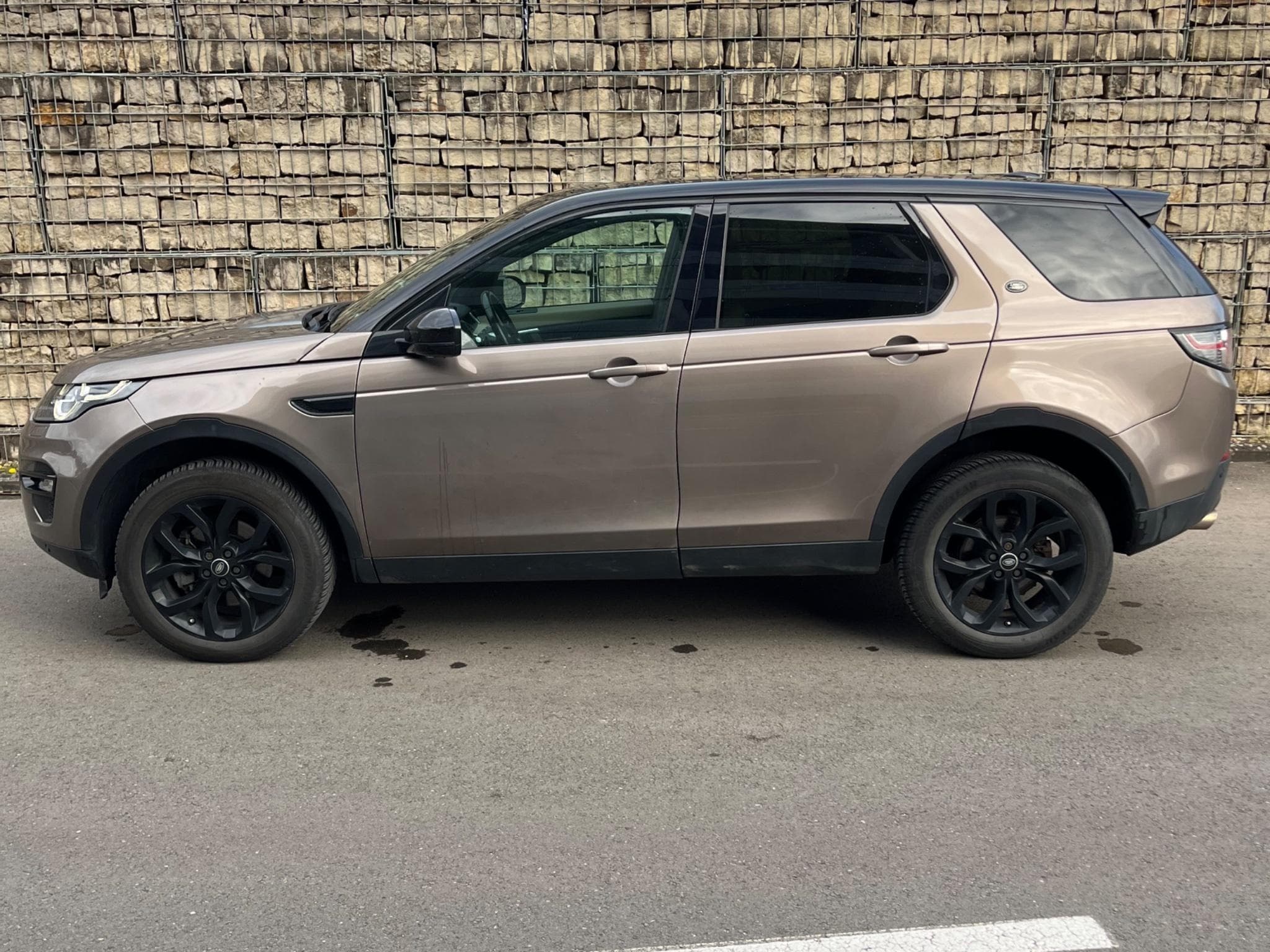 Land-Rover Discovery Sport Black Line (2015) - Photo 3