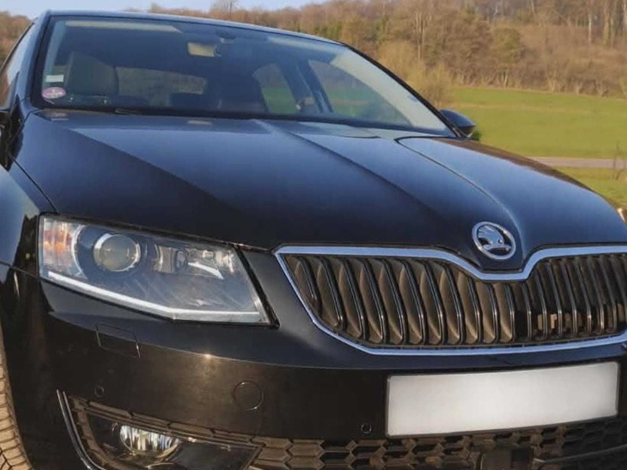 Skoda Octavia Business (2017) - Photo 3