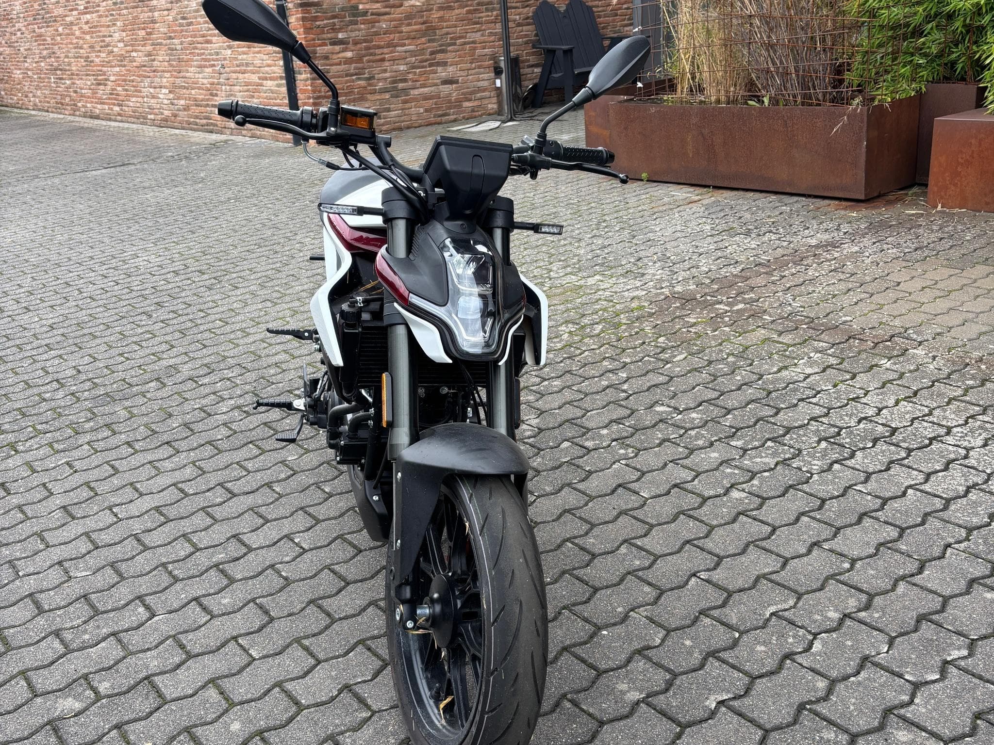 Malaguti Drakon (2022) - Foto 3