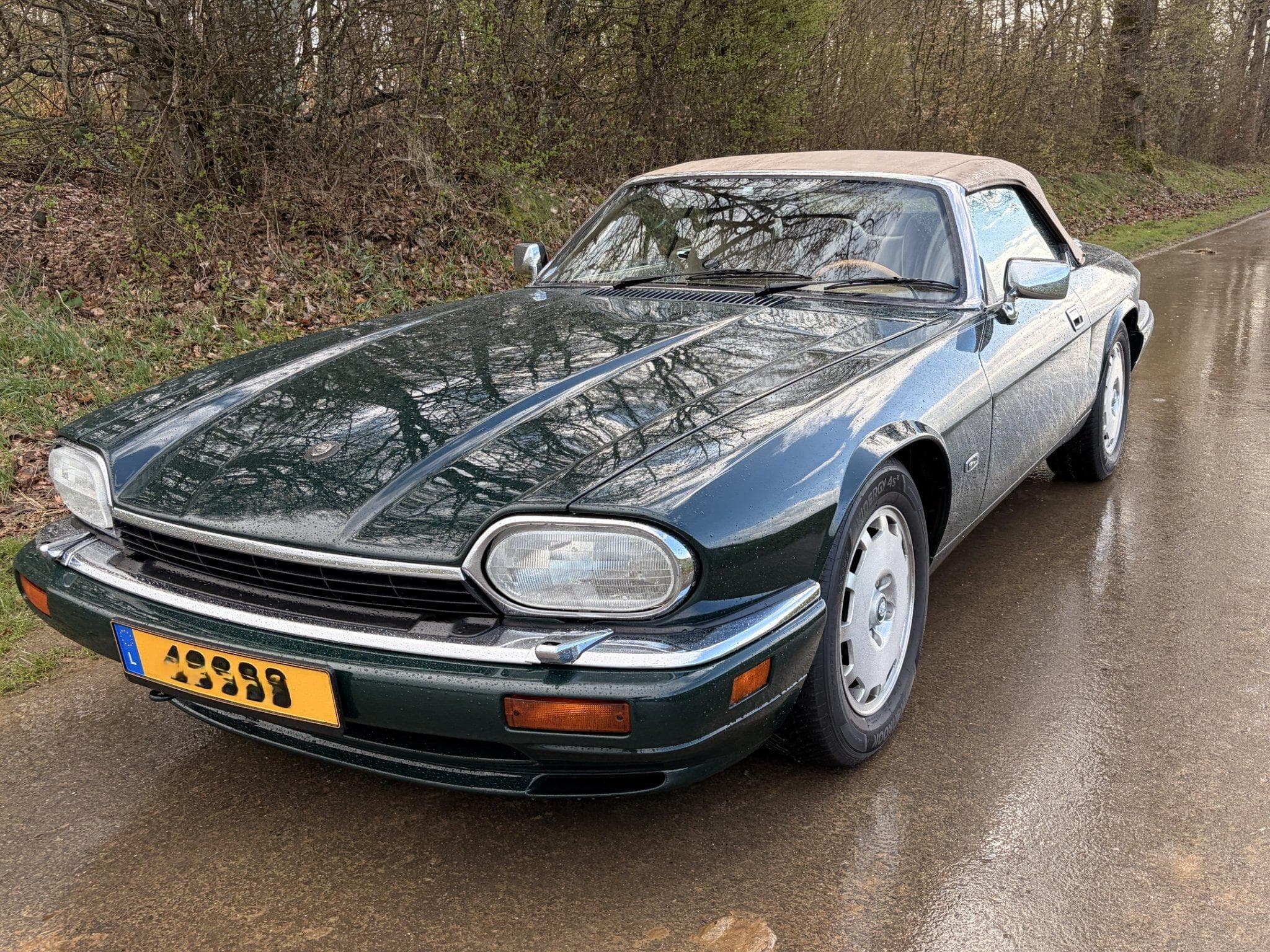 Jaguar XJS XJS 4.0 cabriolet "Celebration" (1996) - Photo 3