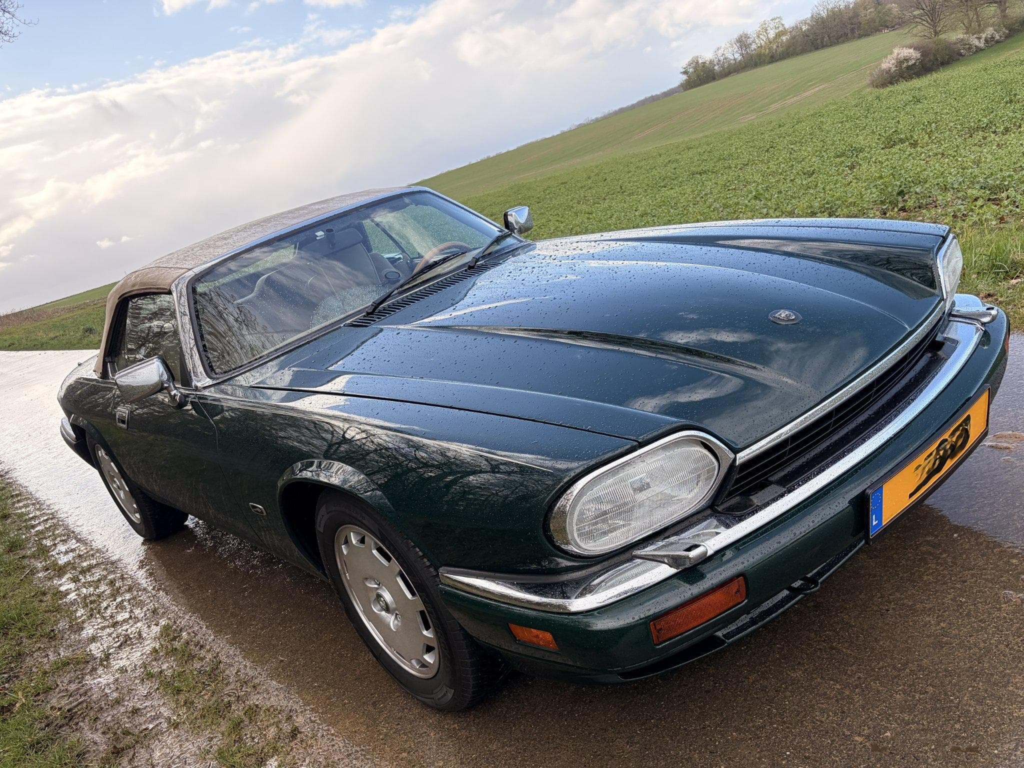 Jaguar XJS XJS 4.0 cabriolet "Celebration" (1996) - Photo 4