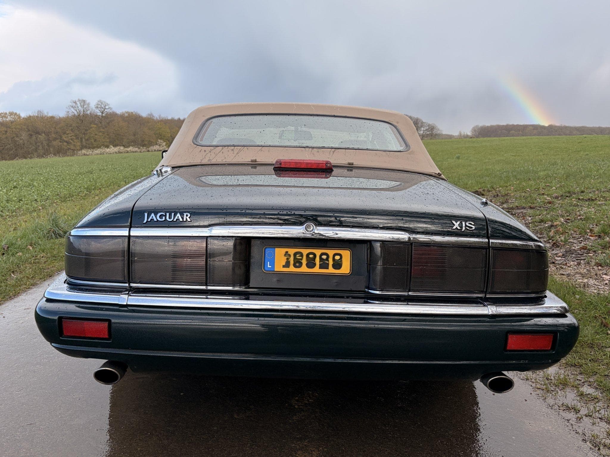 Jaguar XJS XJS 4.0 cabriolet "Celebration" (1996) - Photo 5