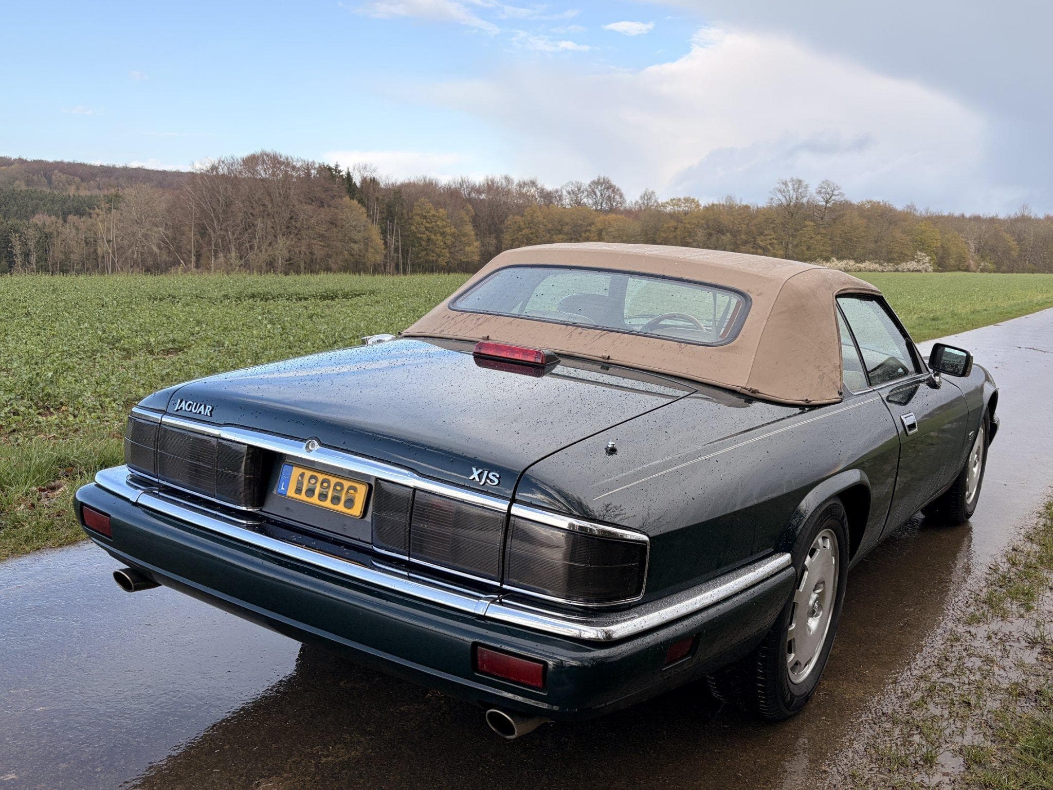Jaguar XJS XJS 4.0 cabriolet "Celebration" (1996) - Photo 6