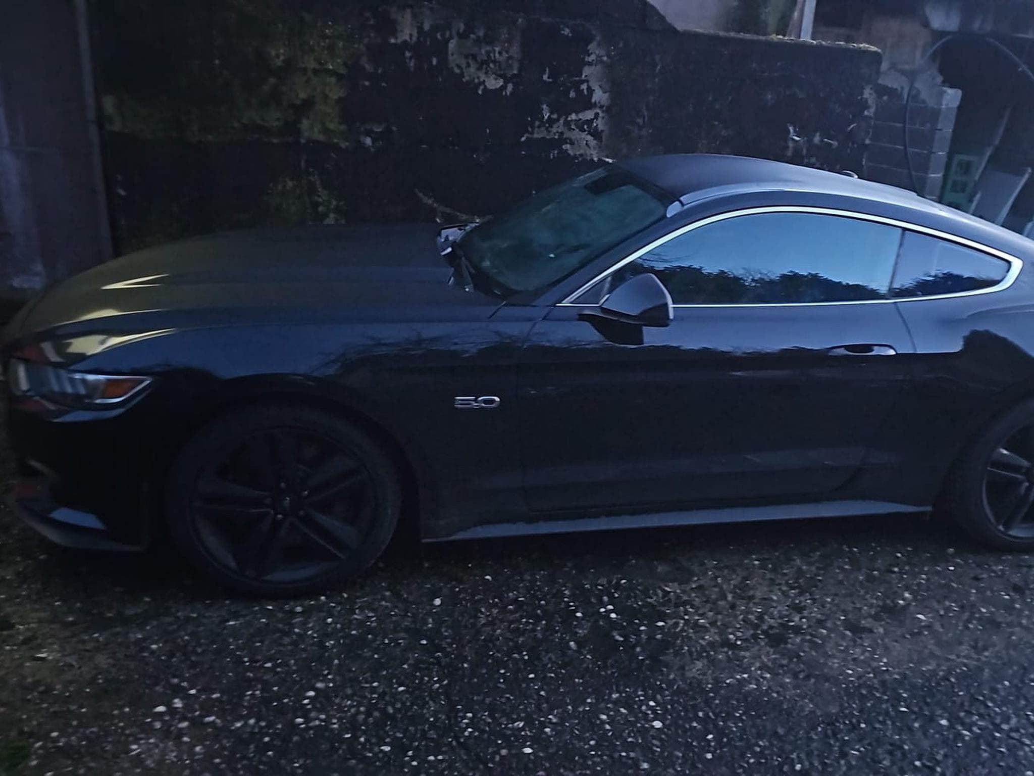 Ford Mustang GT (2018) - Photo 3