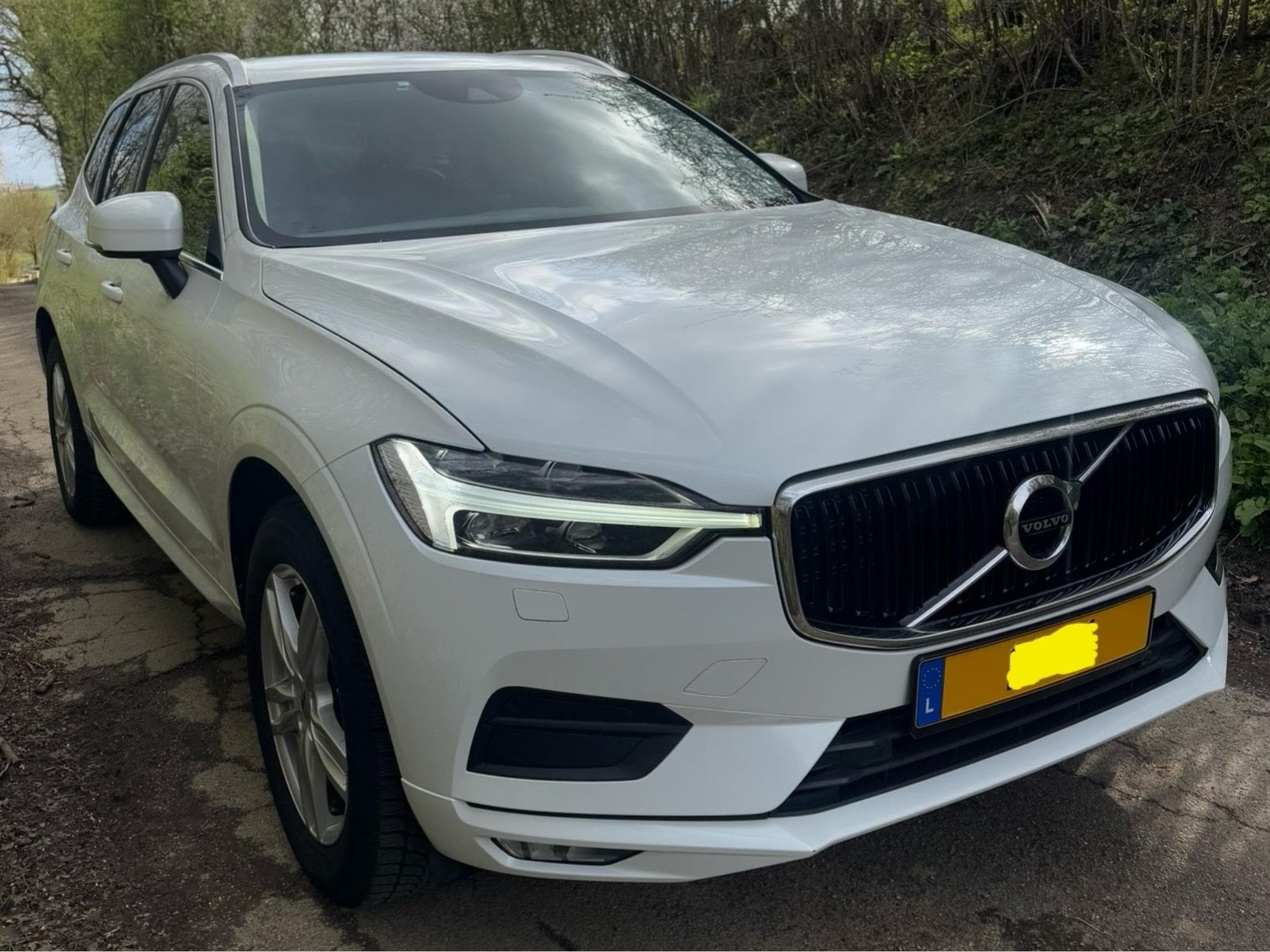 Volvo XC60 (2020) - Photo 2