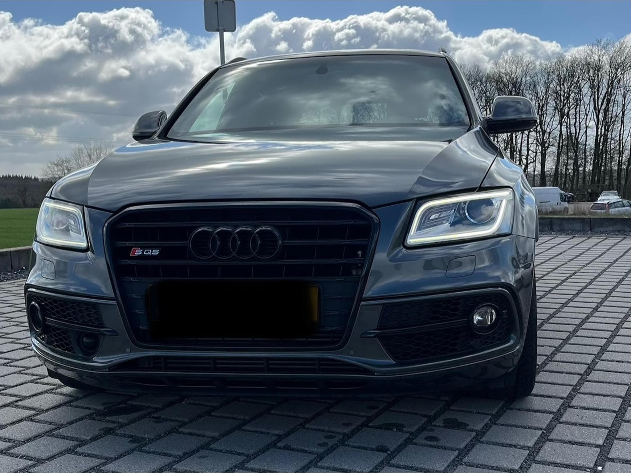 Audi SQ5 3.0 TDI Competition Quattro Pano (2017) - Foto 2