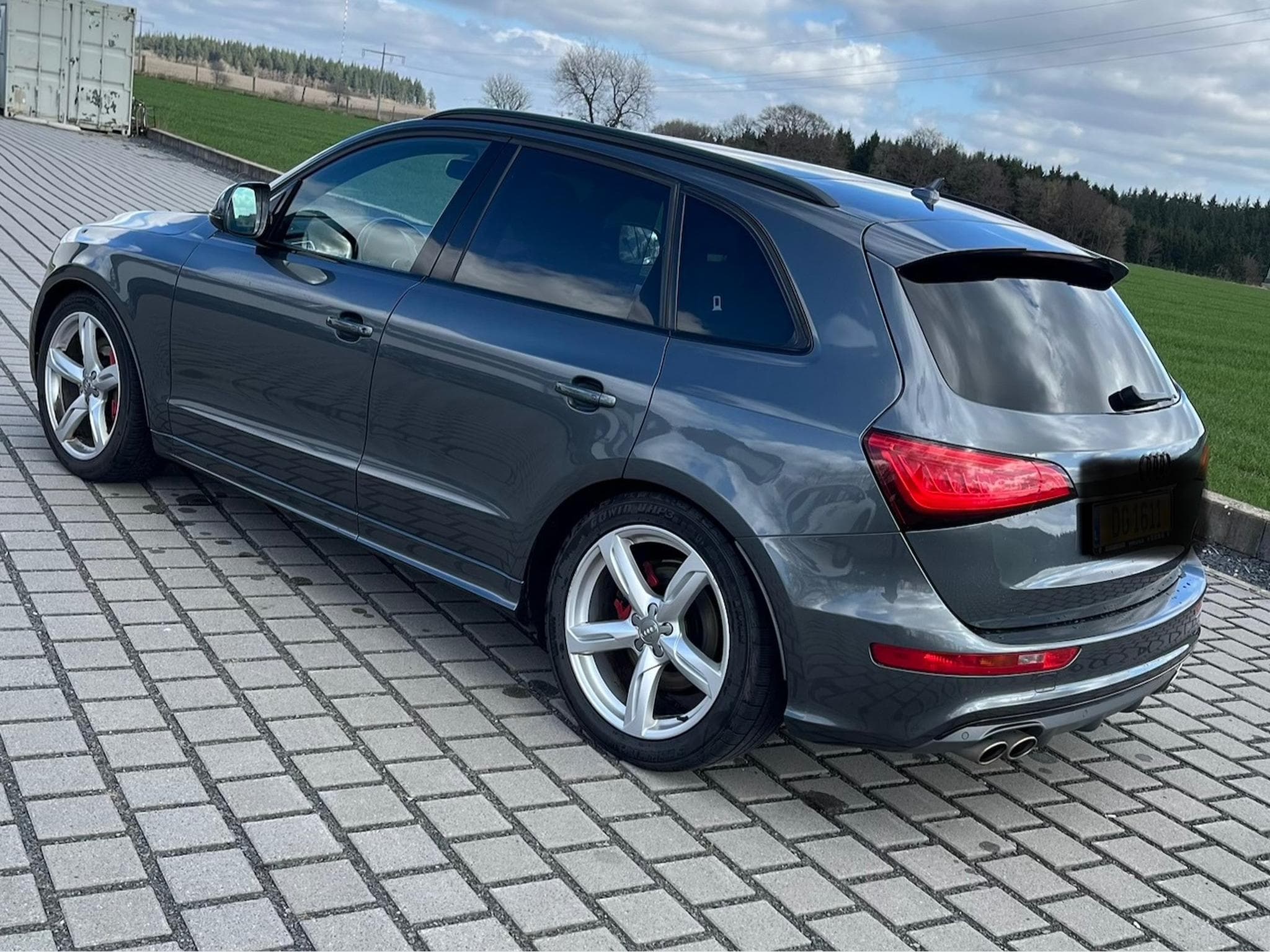 Audi SQ5 3.0 TDI Competition Quattro Pano (2017) - Foto 1
