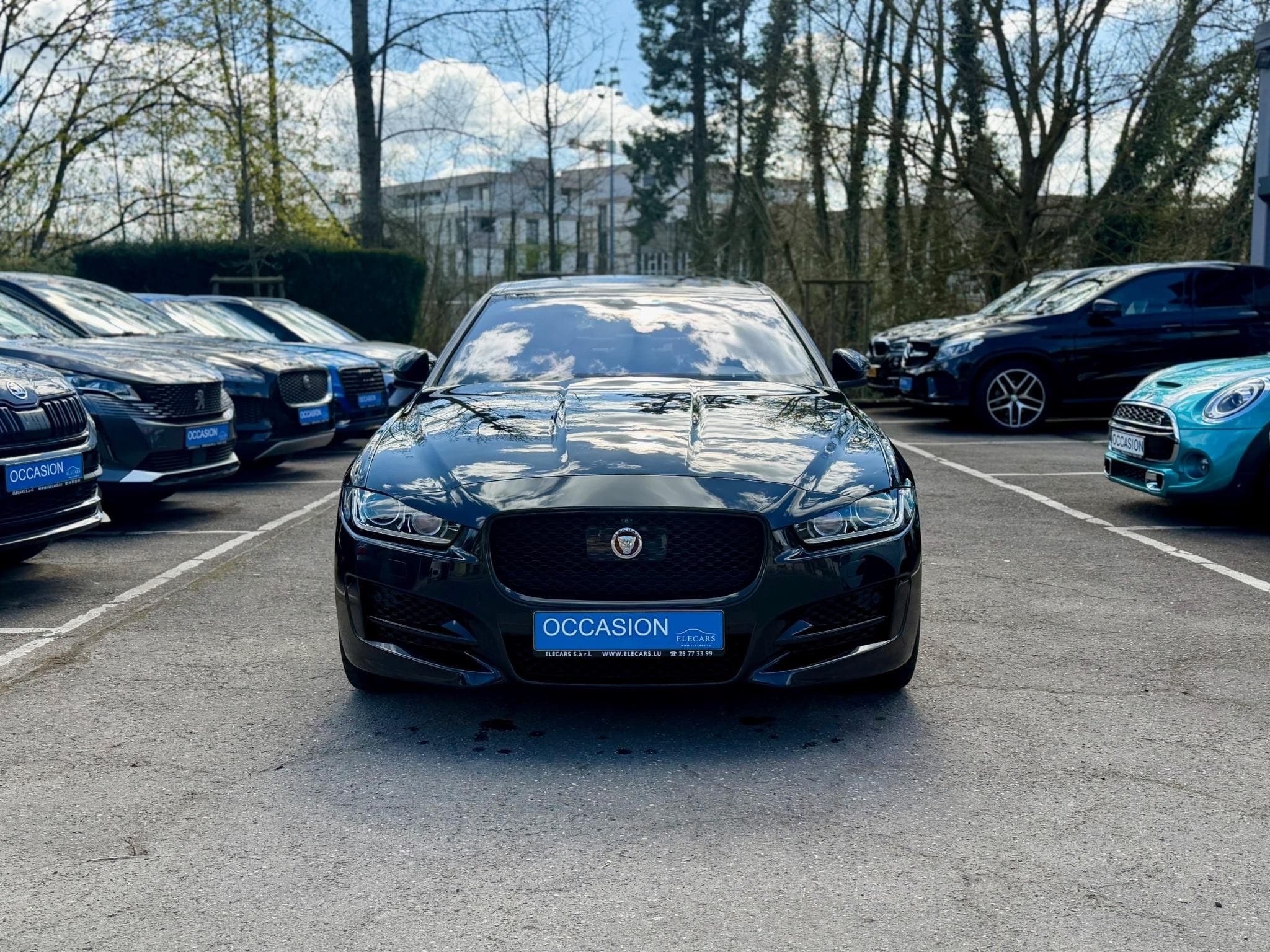 Jaguar XE 25d 240 AWD Aut. R-Sport PANO/HEAD-UP/360°/ACC (2018) - Photo 2