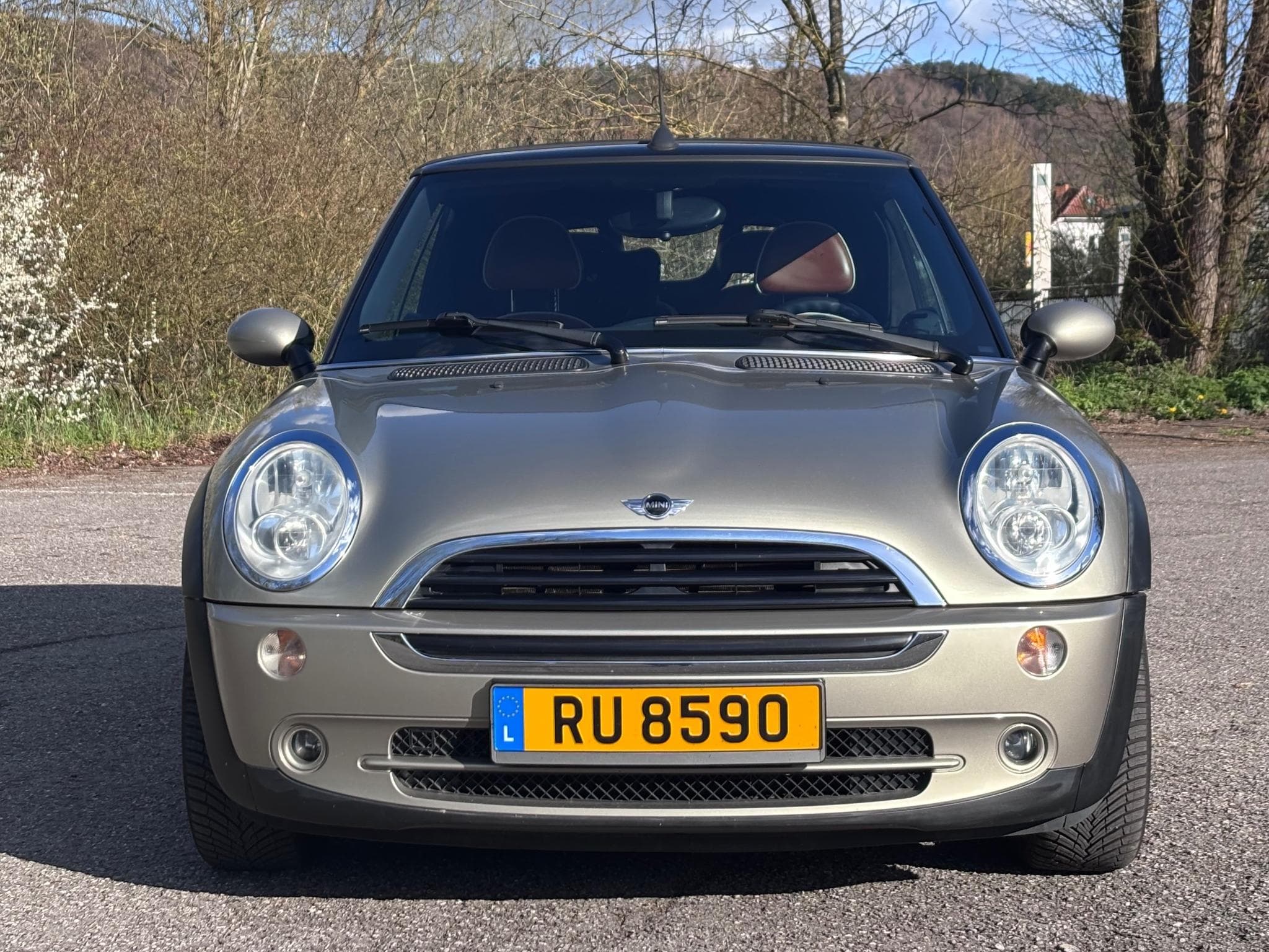 Mini One Sidewalk (2007) - Photo 5