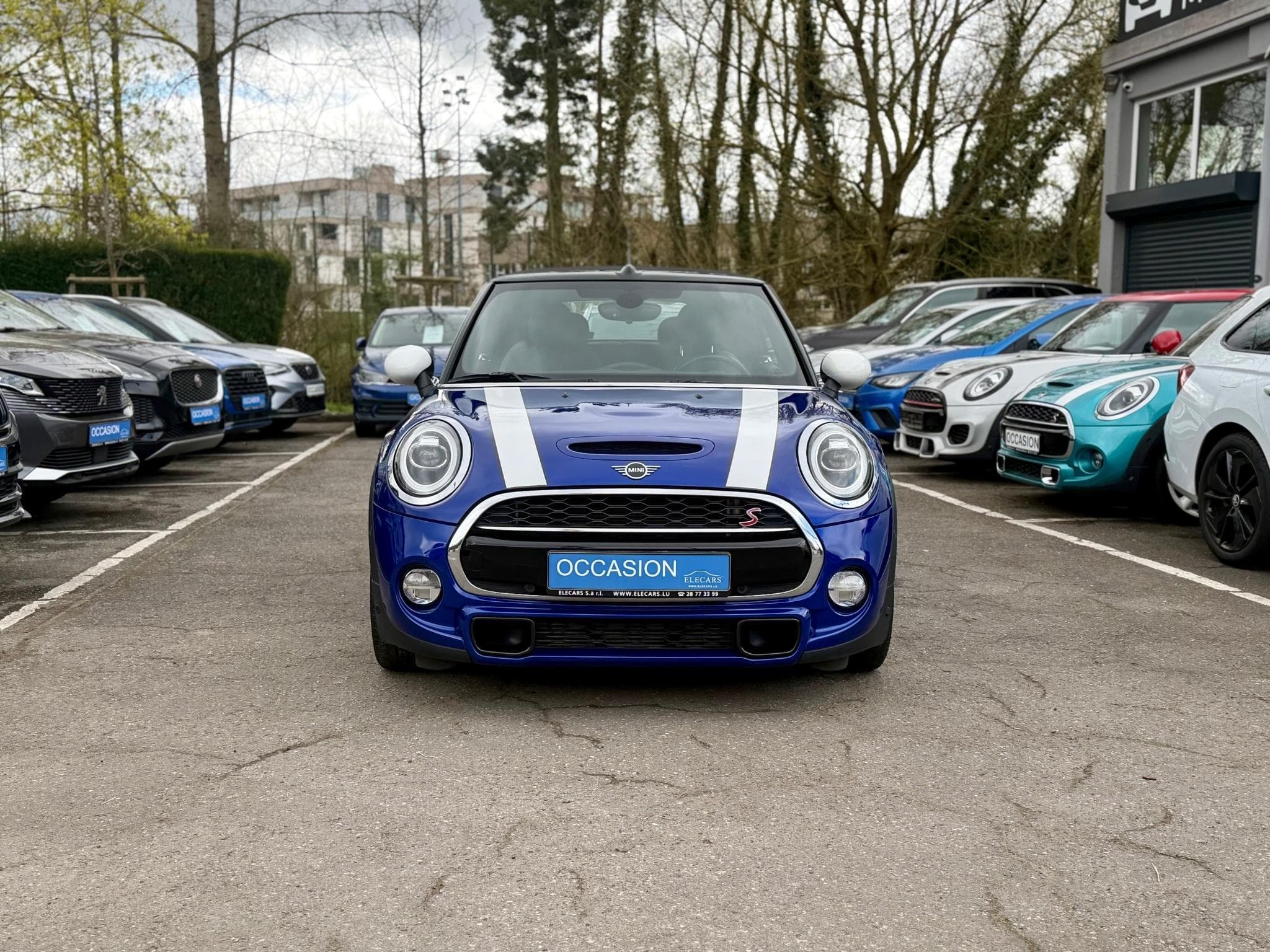 Mini Cabrio Cooper S Cabrio Aut. (2019) - Photo 2