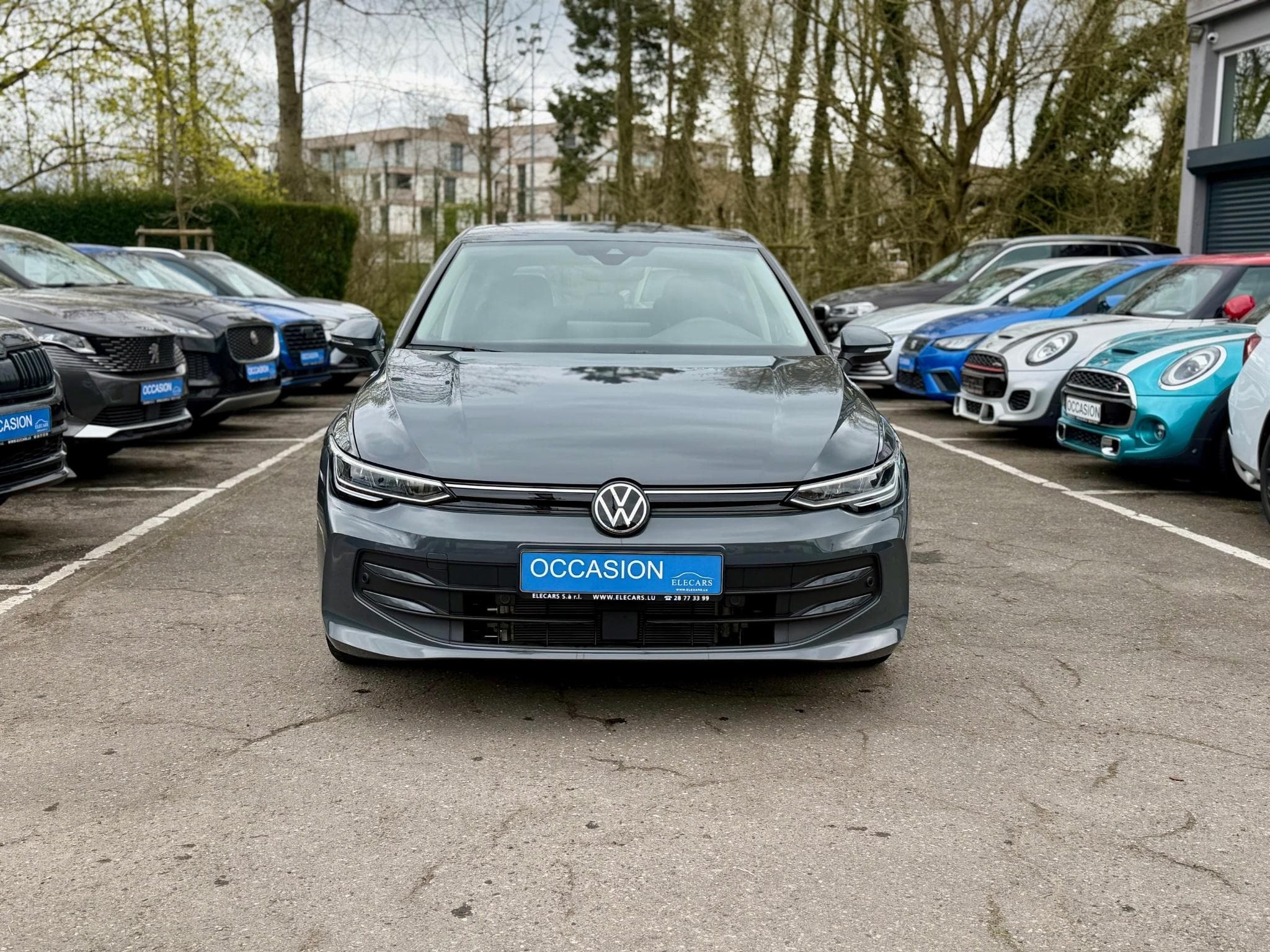 VW Golf VIII 2.0 TDI 150 DSG7 LIFE (2025) - Photo 2