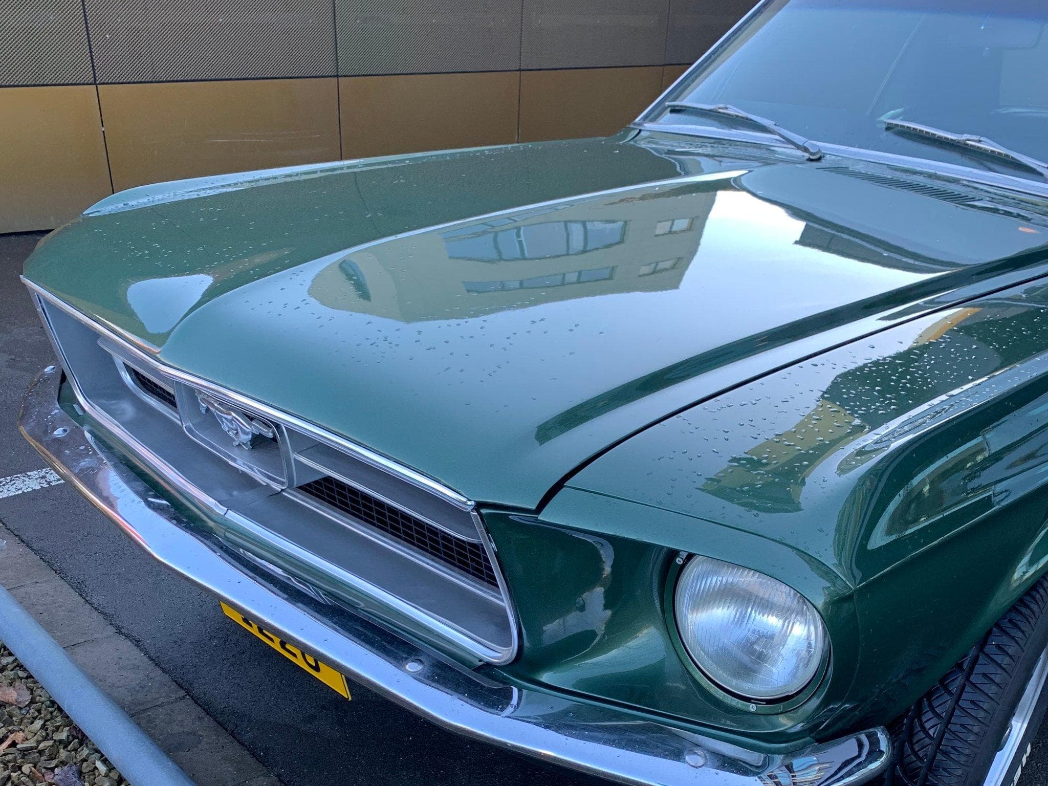 Ford Mustang 1967 - Oldtimer (1970) - Foto 2