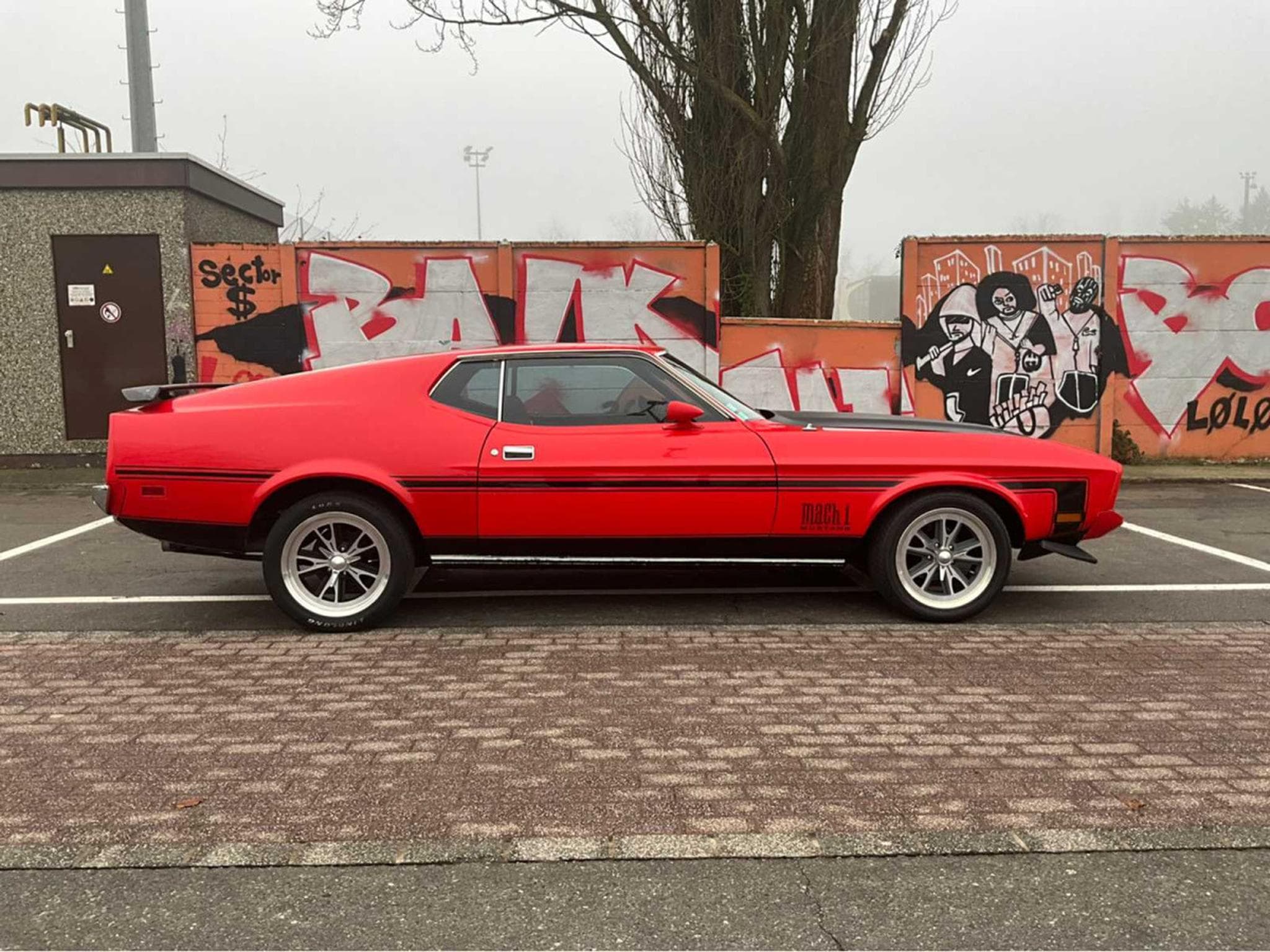 Ford Mustang Mach 1 (1973) - Foto 6