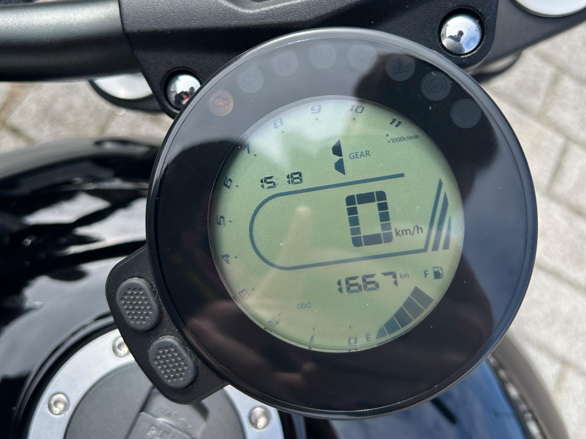 ARCHIVE BLACKPEARL BLACKPEARL125 (2024) - Photo 5