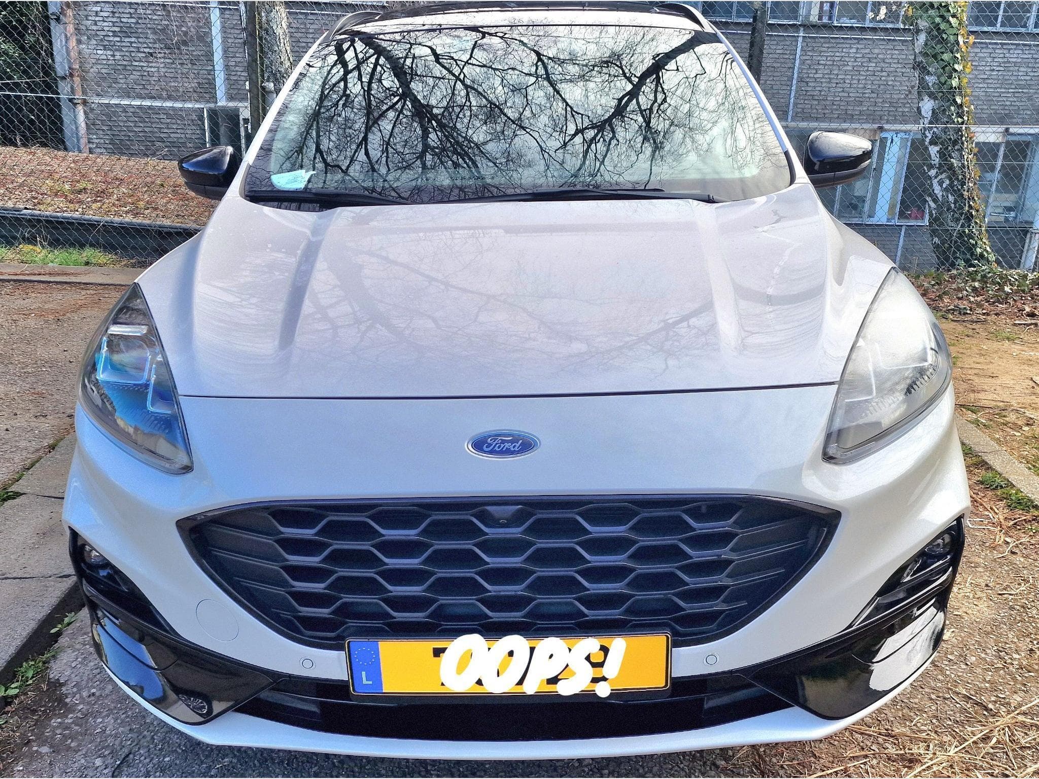 Ford Kuga ST-Line X (2022) - Photo 1