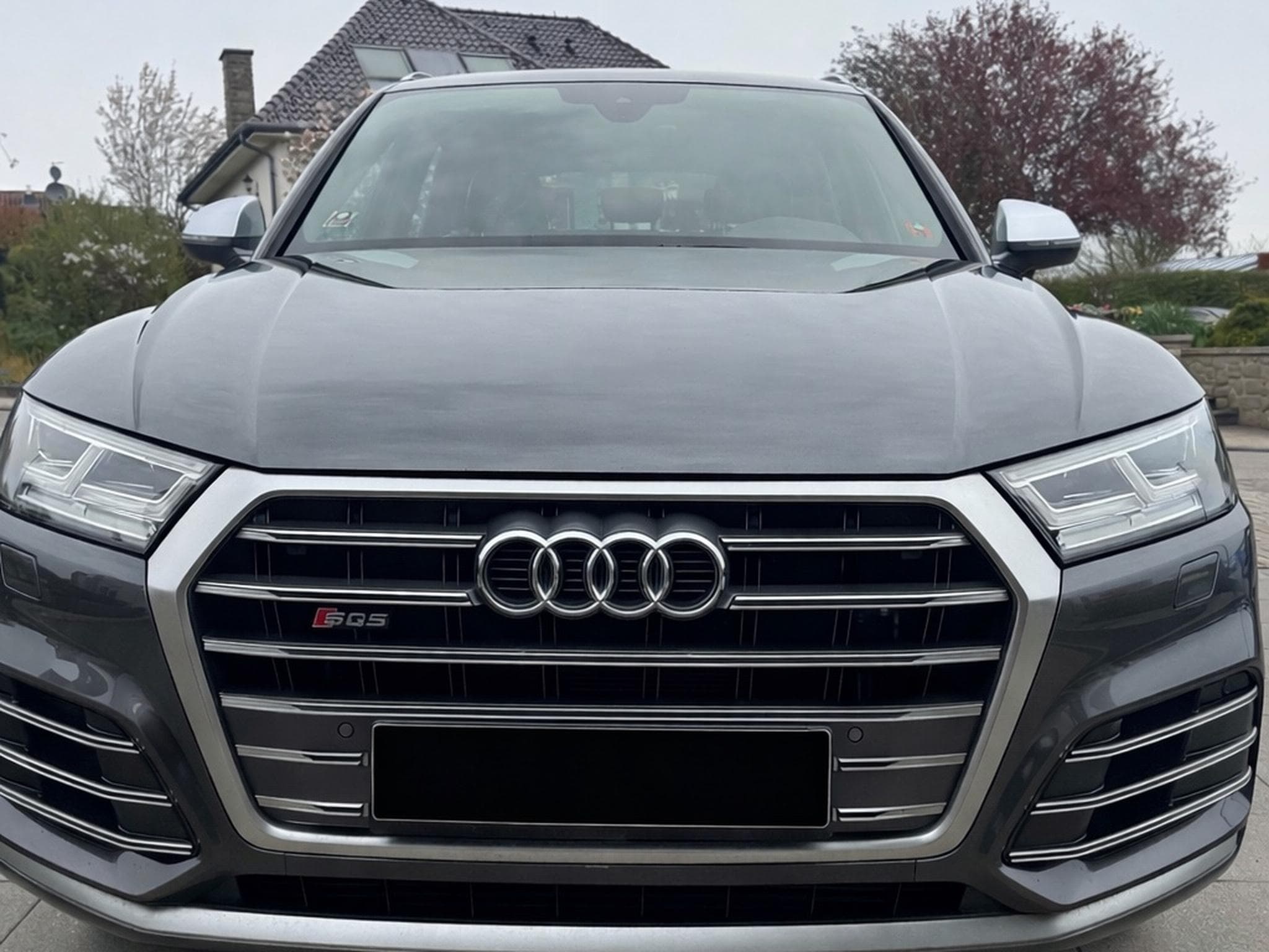 Audi SQ5 (2017) - Photo 1