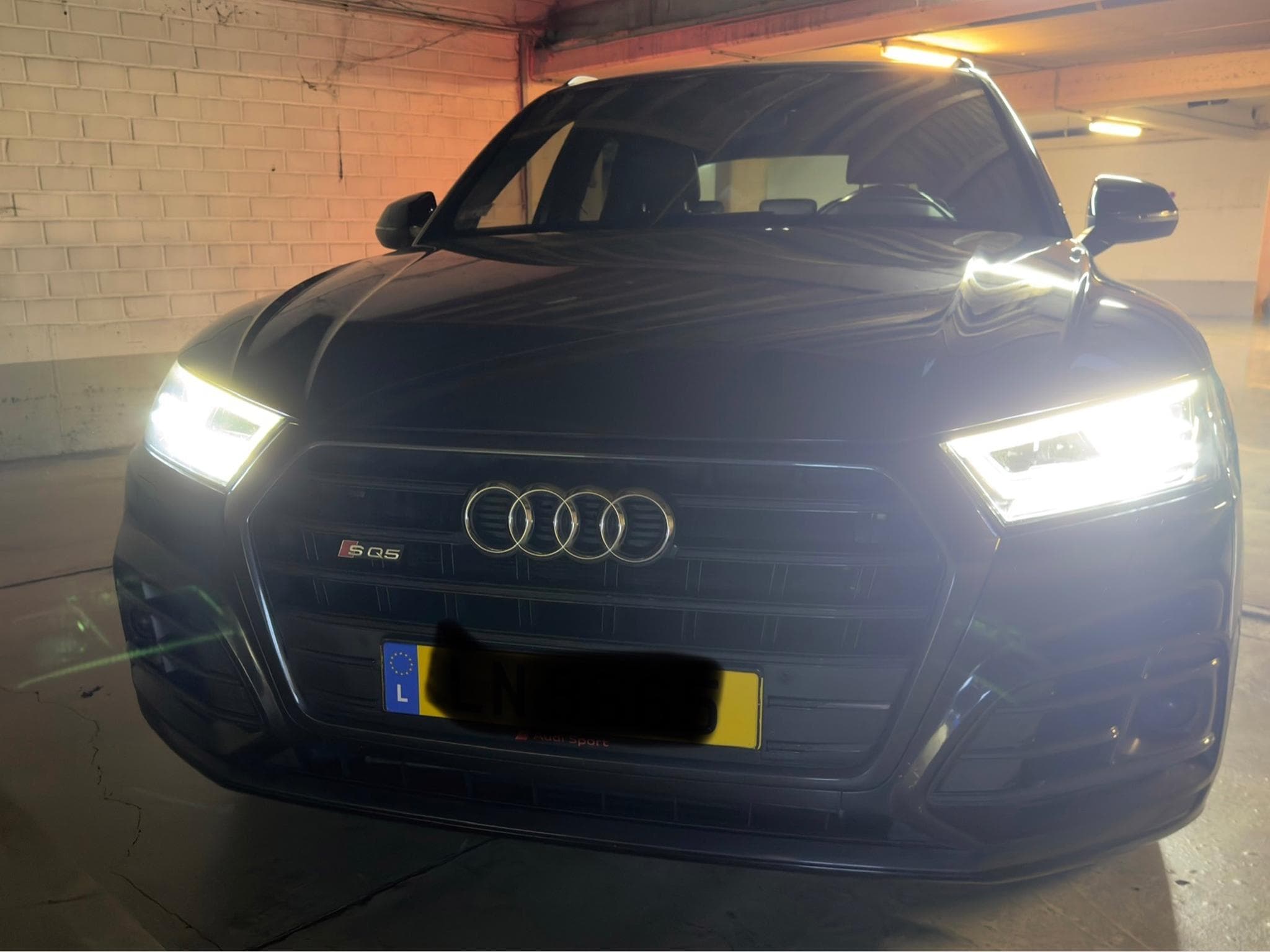 Audi SQ5 (2018) - Photo 4