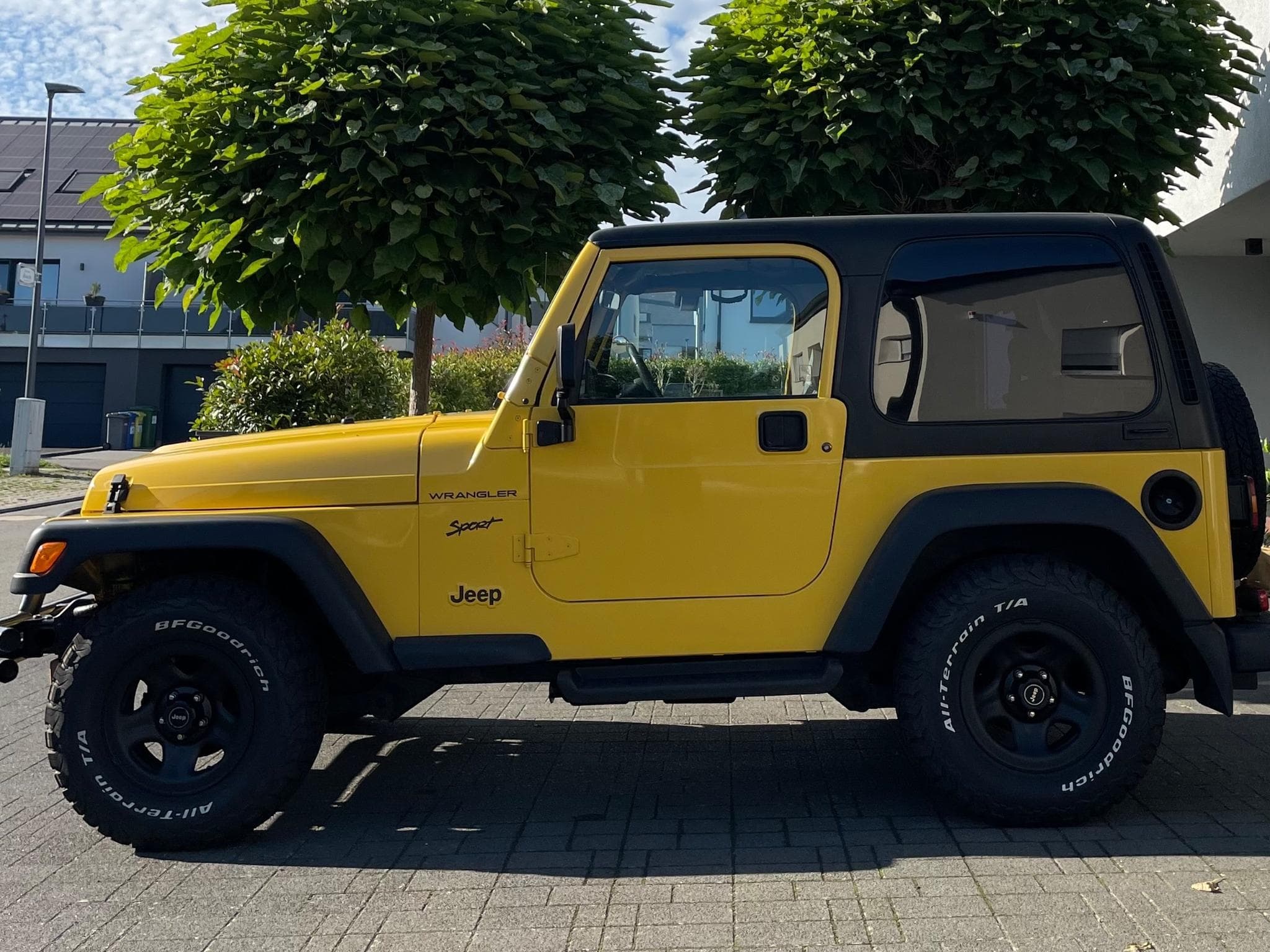 Jeep Wrangler Sport 4.0 (2000) - Photo 2