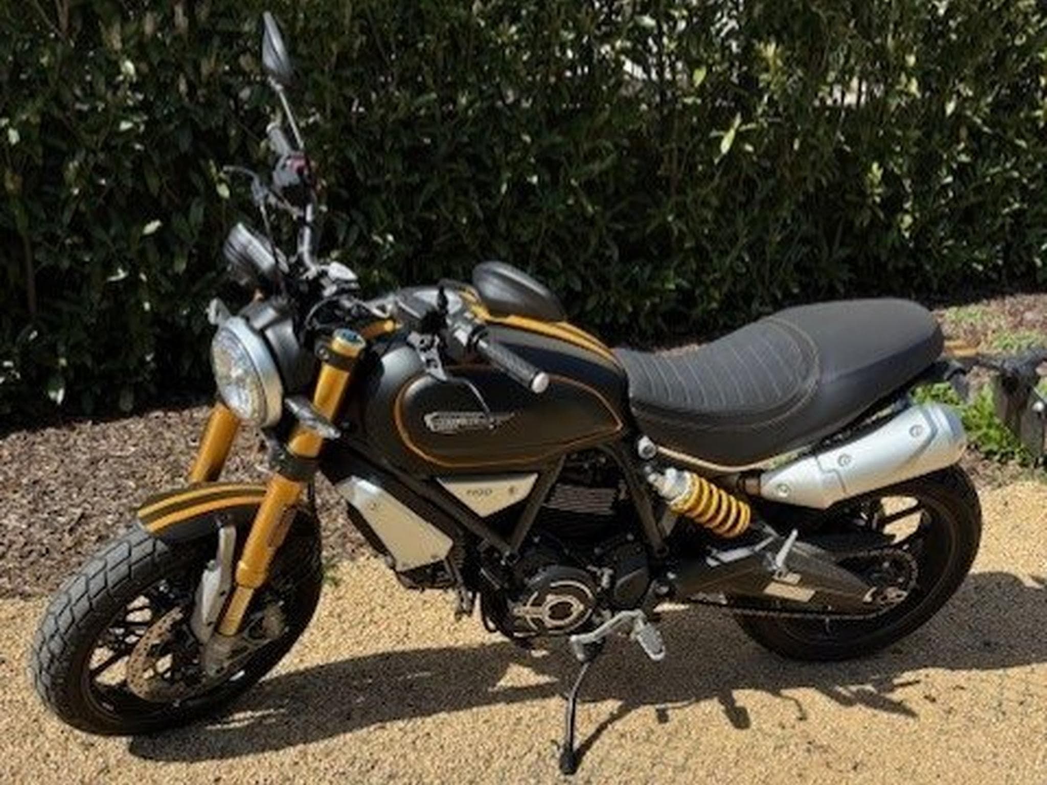 Ducati Scrambler 1100 SPORT Edition (2019) - Photo 1