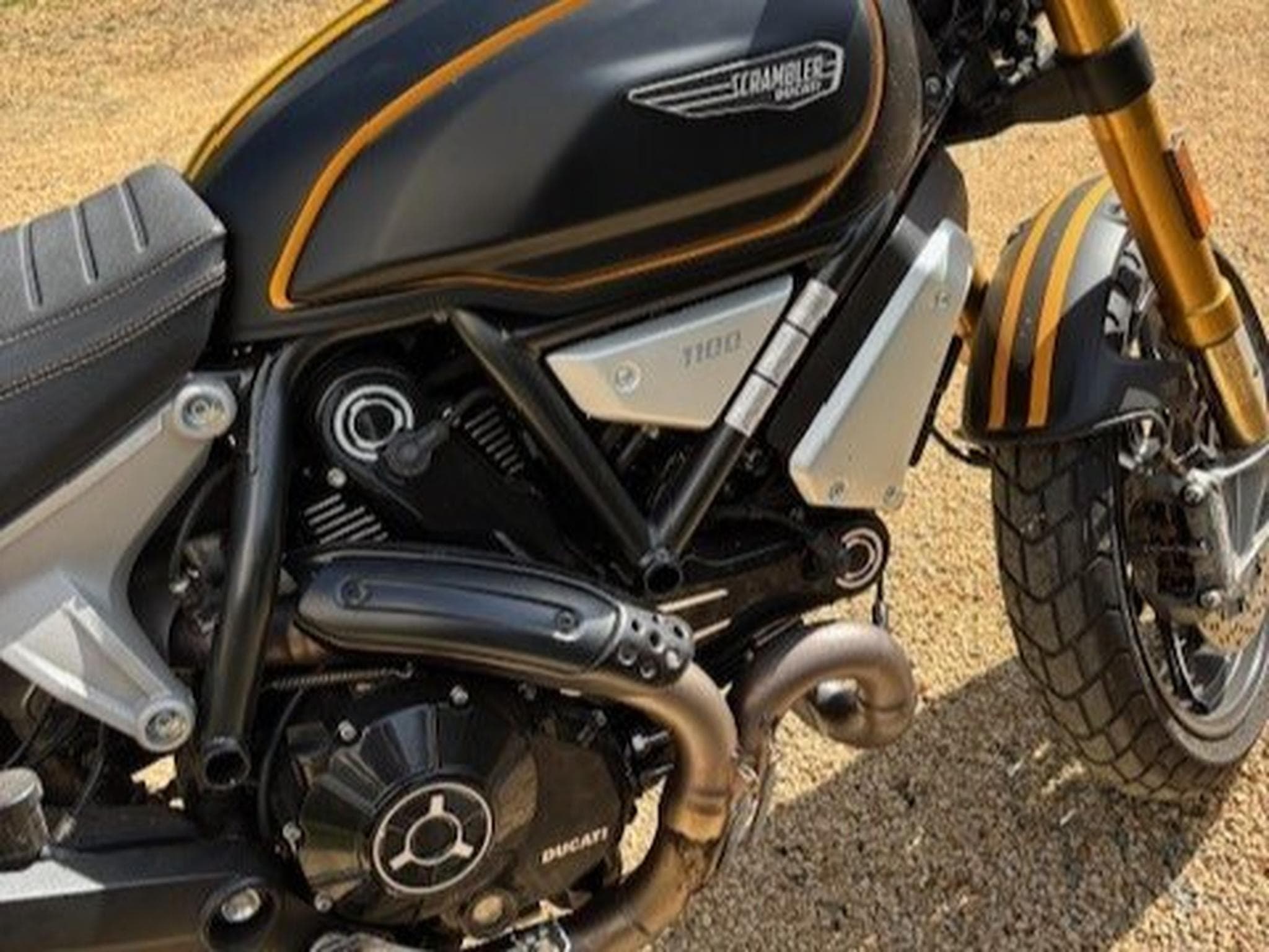 Ducati Scrambler 1100 SPORT Edition (2019) - Photo 3