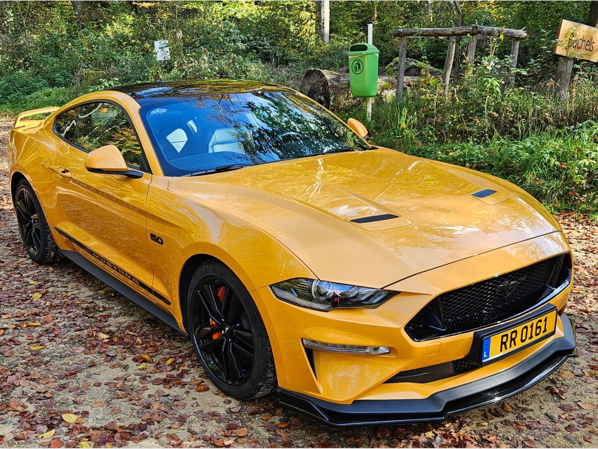Ford Mustang GT (2023) - Photo 1