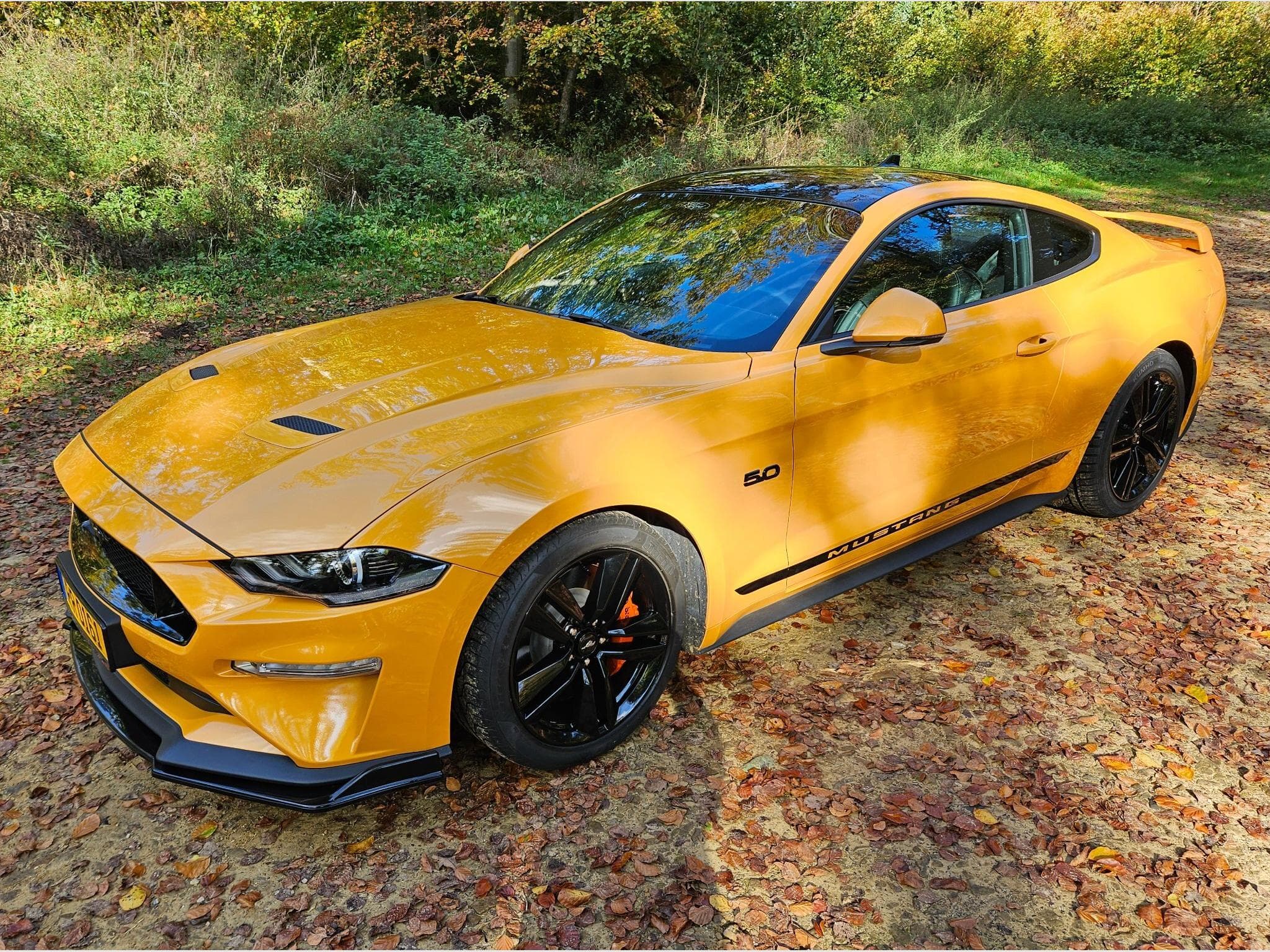 Ford Mustang GT (2023) - Photo 2