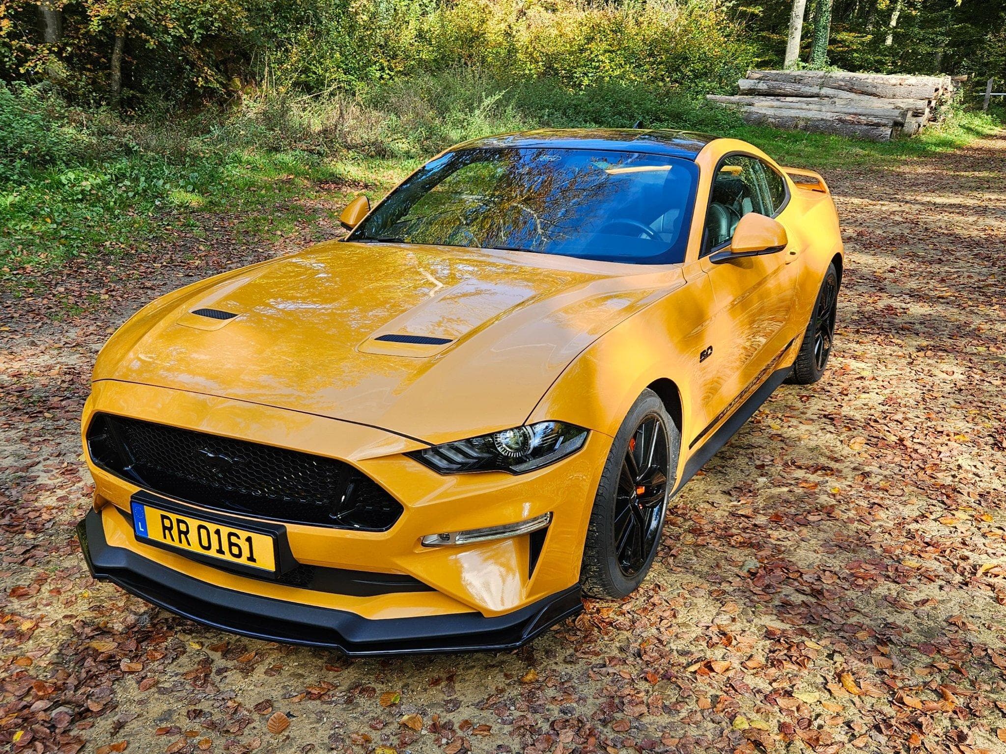 Ford Mustang GT (2023) - Photo 3